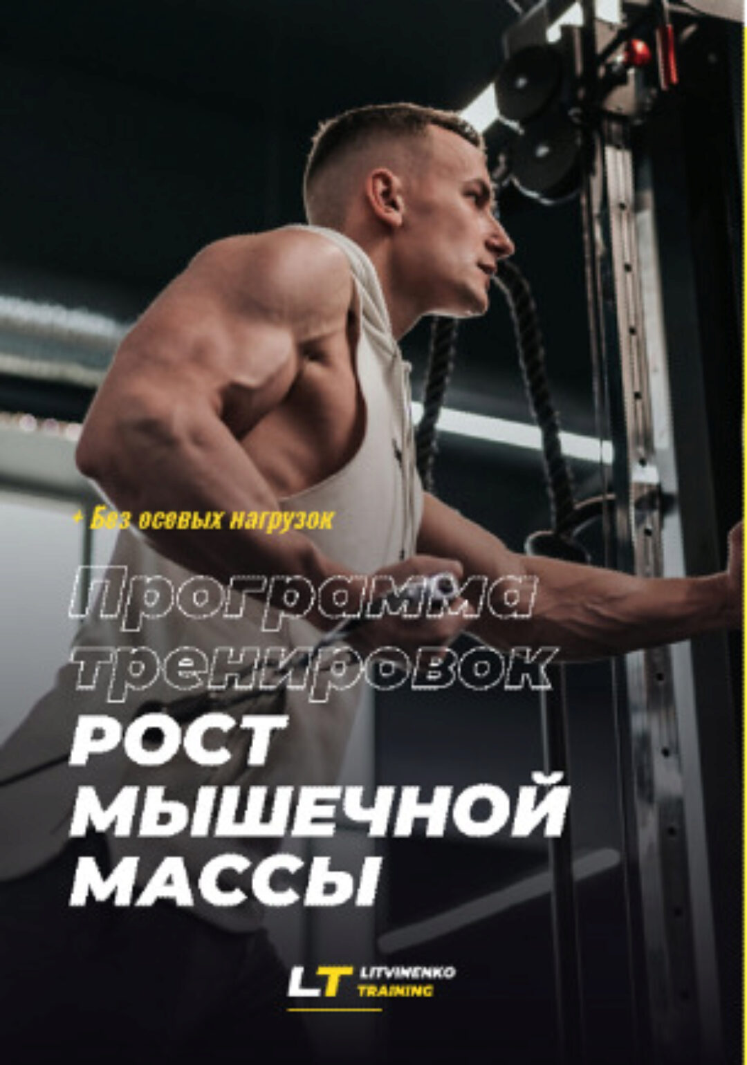 Программа тренировок: Рост мышечной массы (Влад Литвиненко)