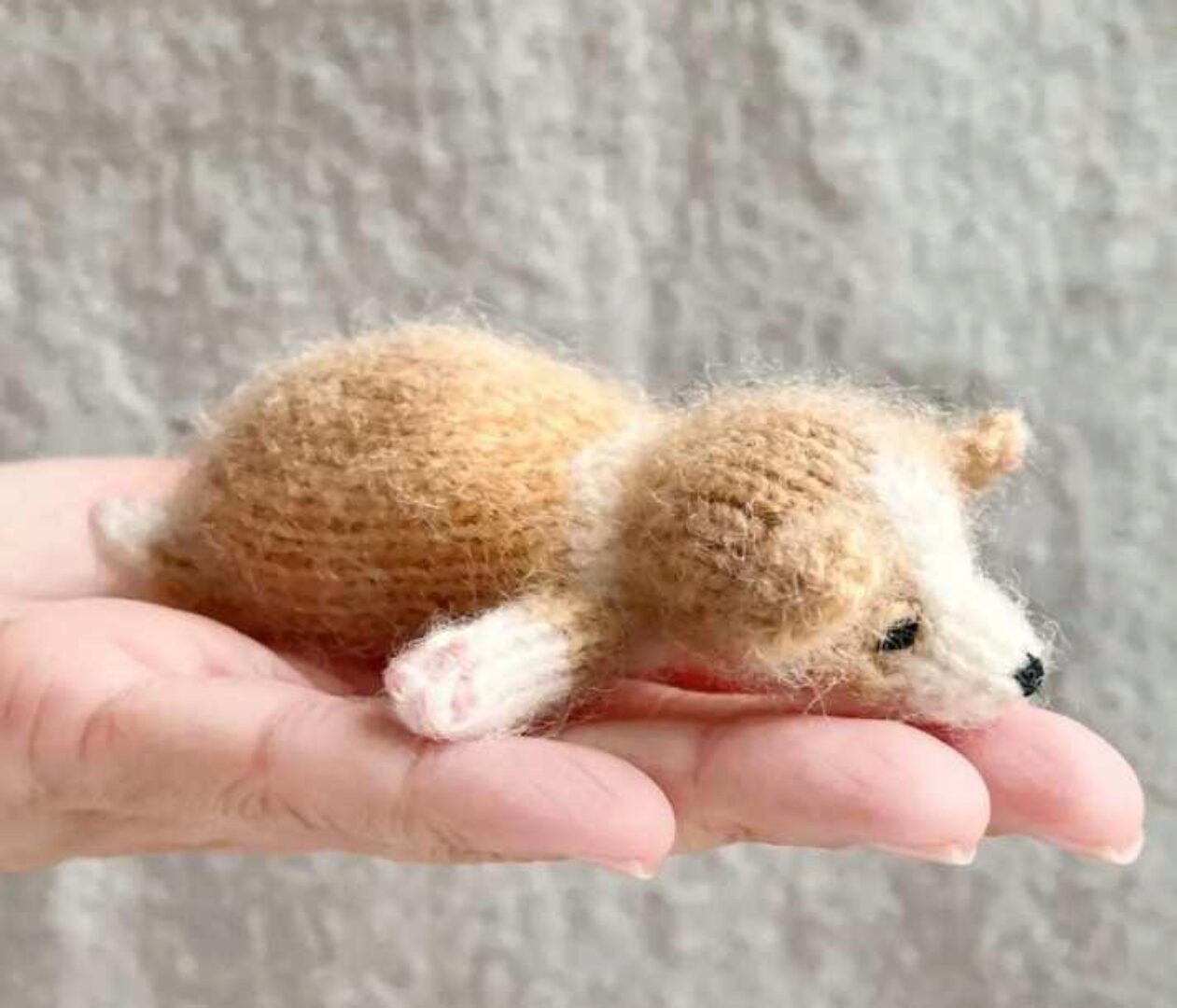 Корги (Мария Никулина)