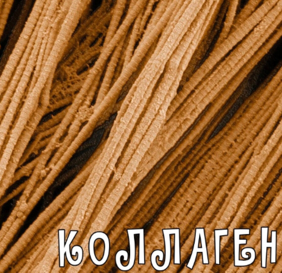 Коллаген от А до Я (Валерий Подрубаев)