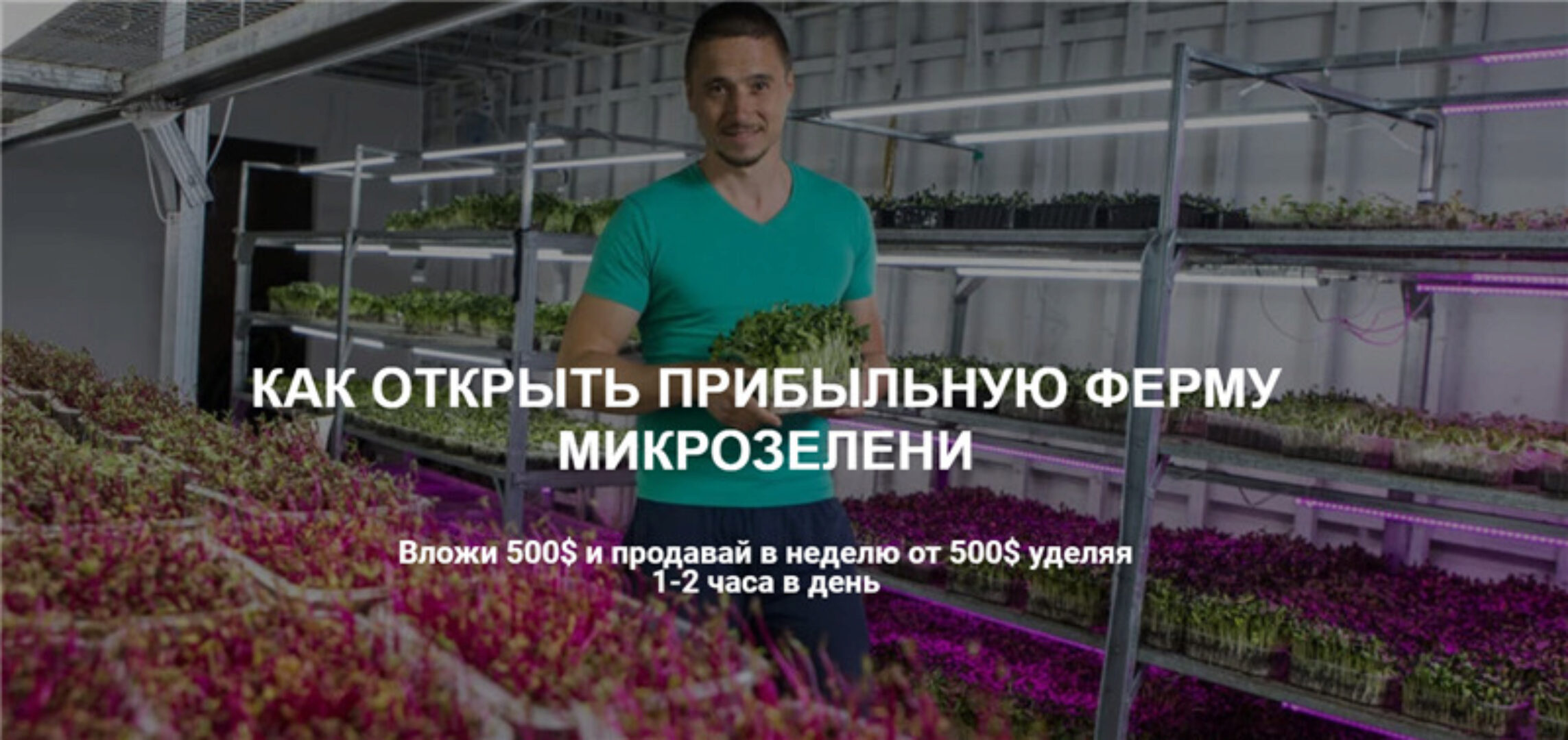 Как открыть прибыльную ферму микрозелени. Пакет Все сам (Иван Воробьев)