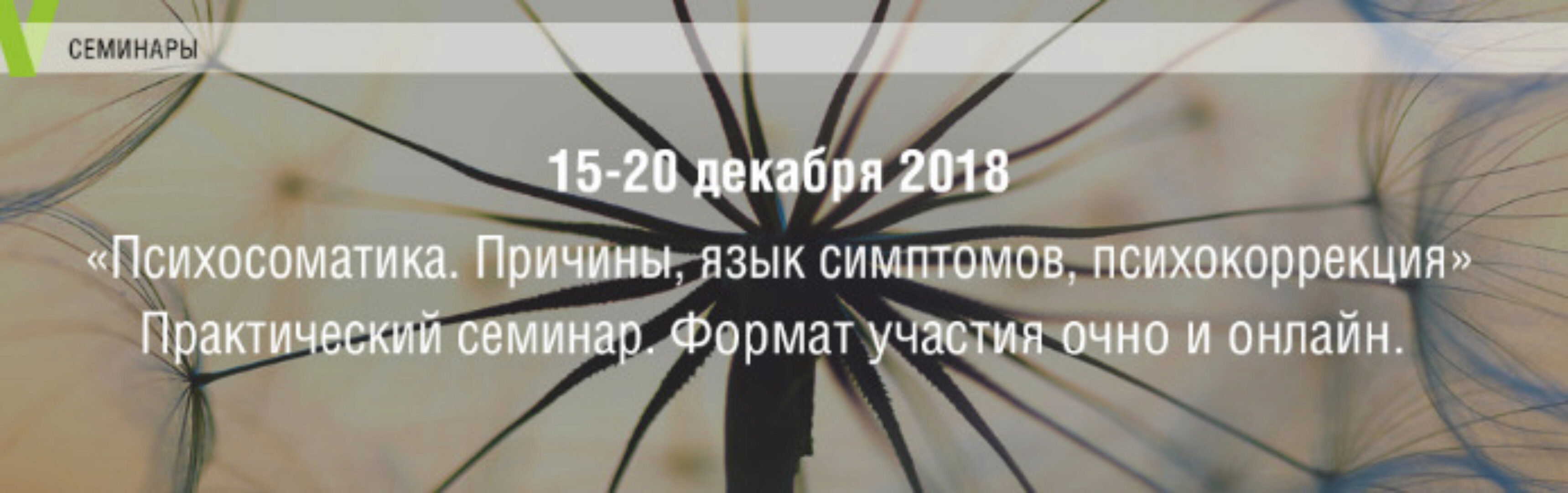 Психосоматика. Причины, язык симптомов, психокоррекция (Елена Журек)