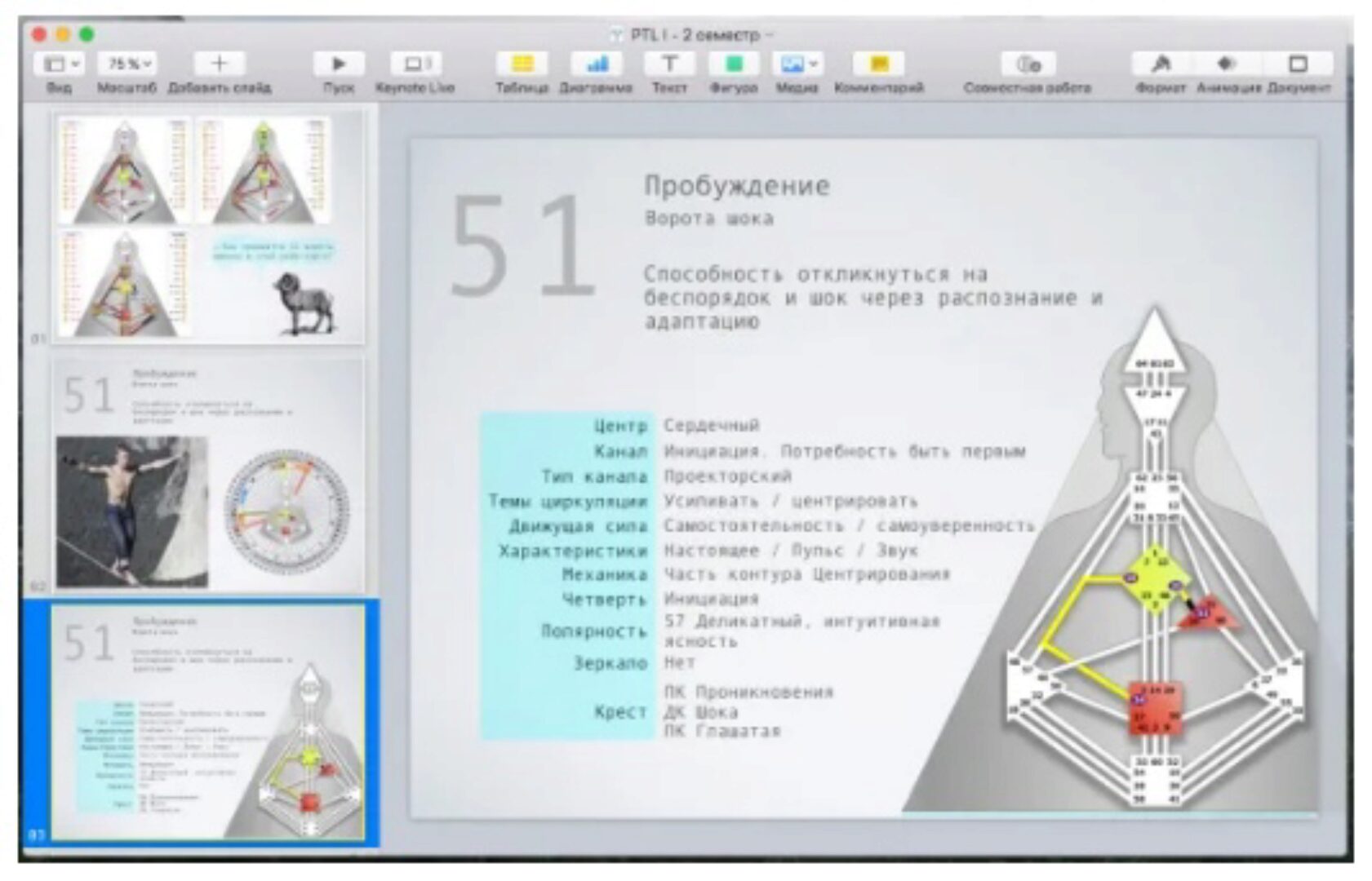 [Дизайн Человека] Курс «PTL I» месяц 4 (Виктор Крючков)