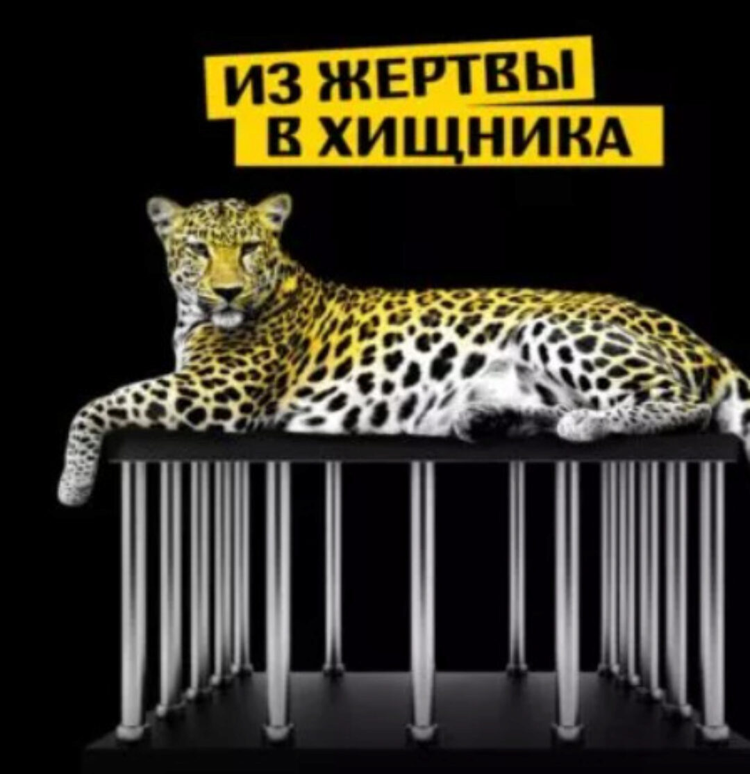 [budsmuzhikom] Из жертвы в хищника - май 2022 г. Тариф Базовый (Владимир Баранов)