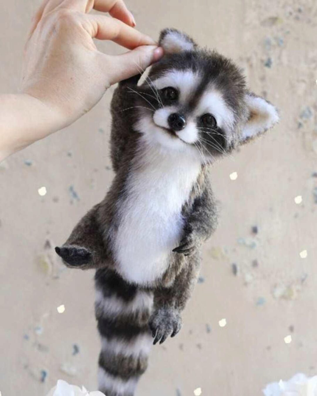 Енотик (Инна Борзенкова)