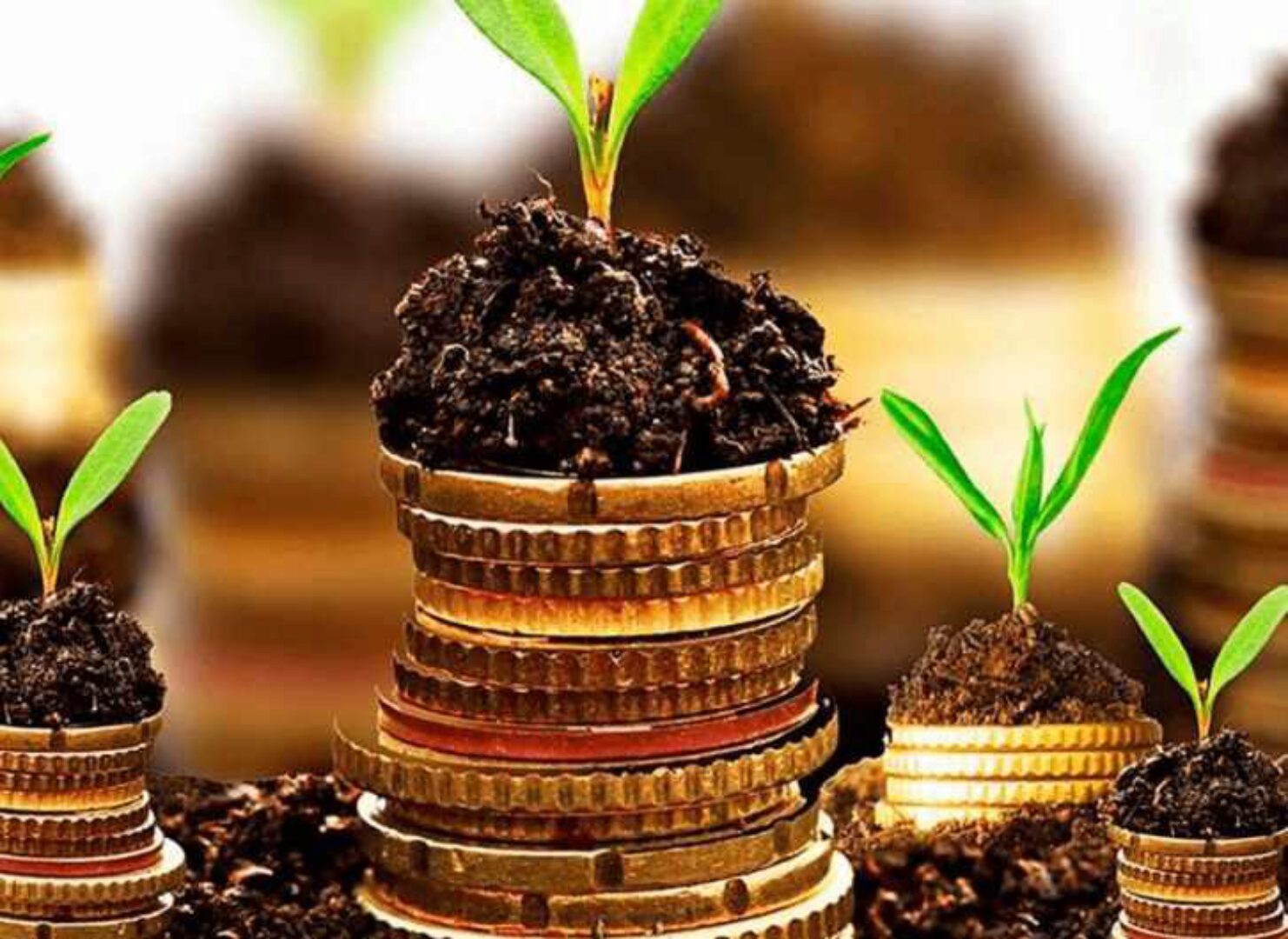 Денежная магия для практиков. Август 2022г (Ольга Сидорук)