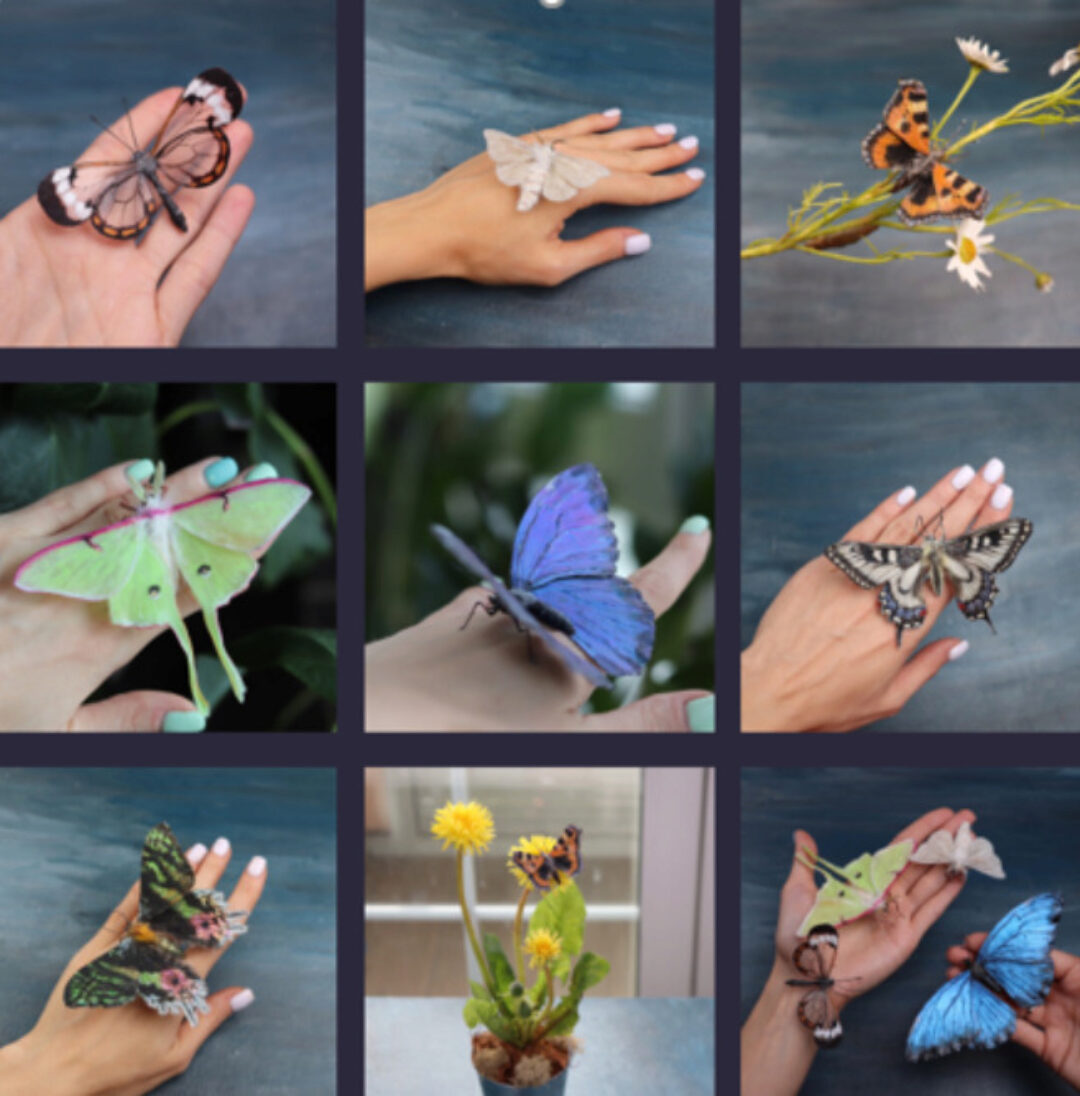 [La Florterra] Бабочки и Мотыльки. Тариф Расширенный (Любовь Мирошниченко)