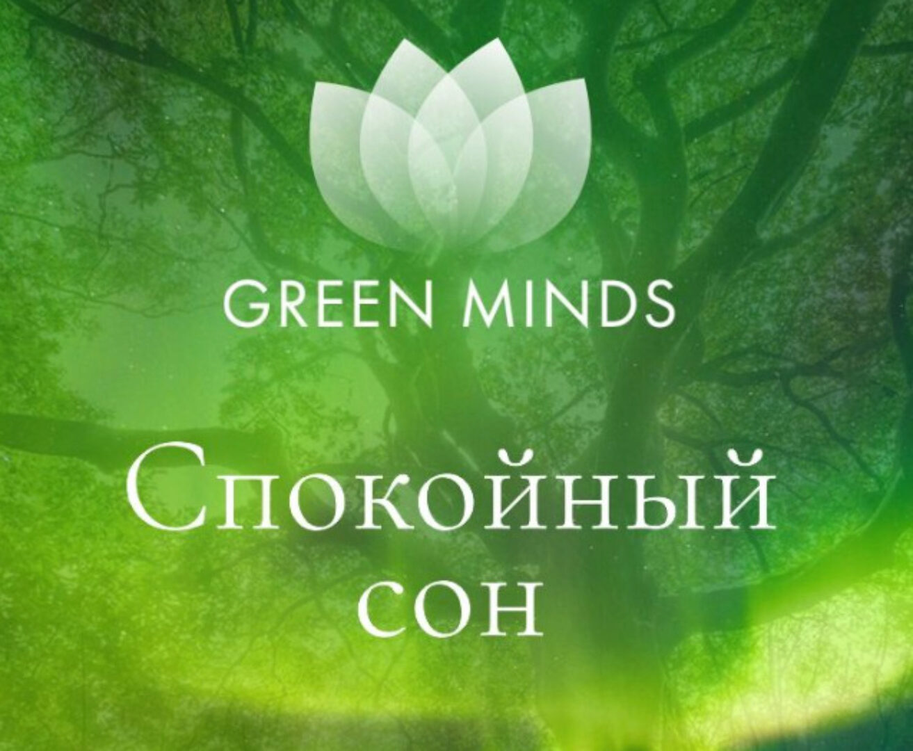 Нейромедитация Green Minds Спокойный сон (Алексей Ситников)