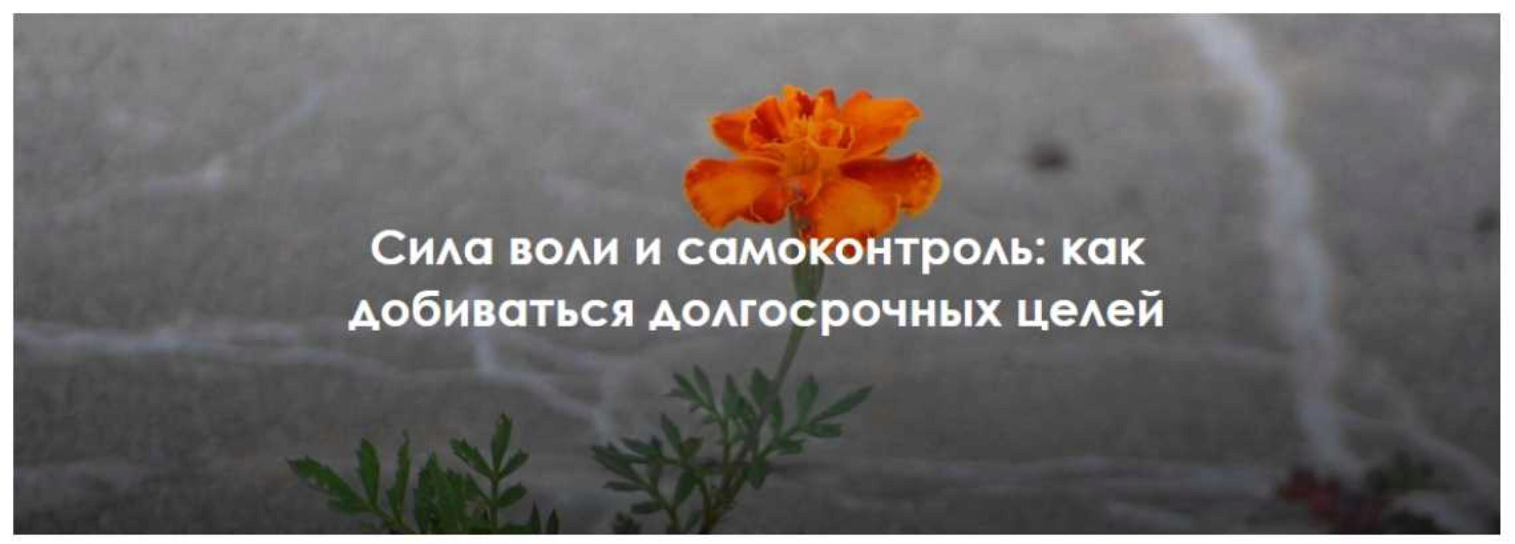Сила воли и самоконтроль: как добиваться долгосрочных целей (Виктория Шилкина, Ирина Якутенко)