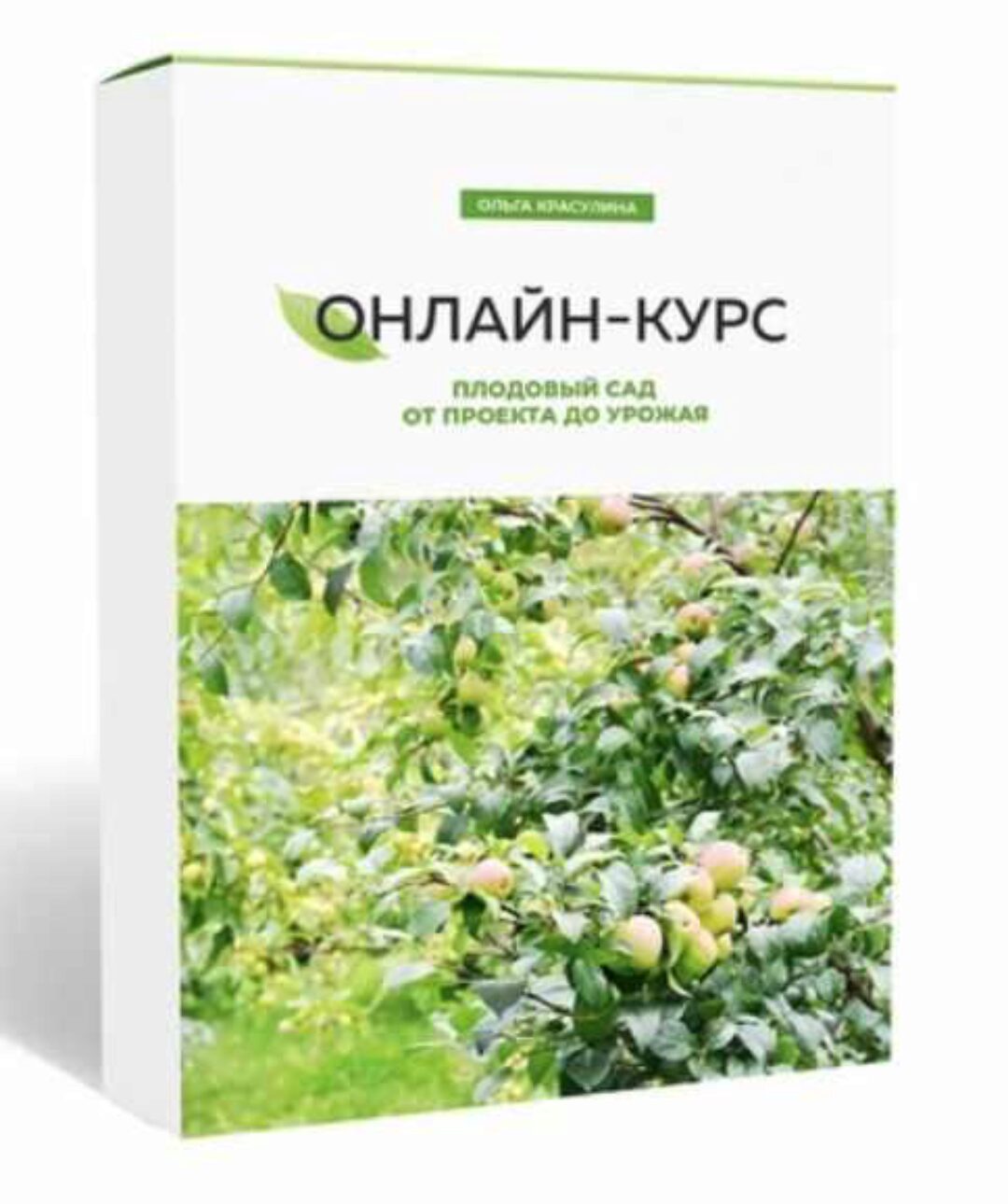 Плодовый сад: от проекта до урожая (Ольга Красулина)