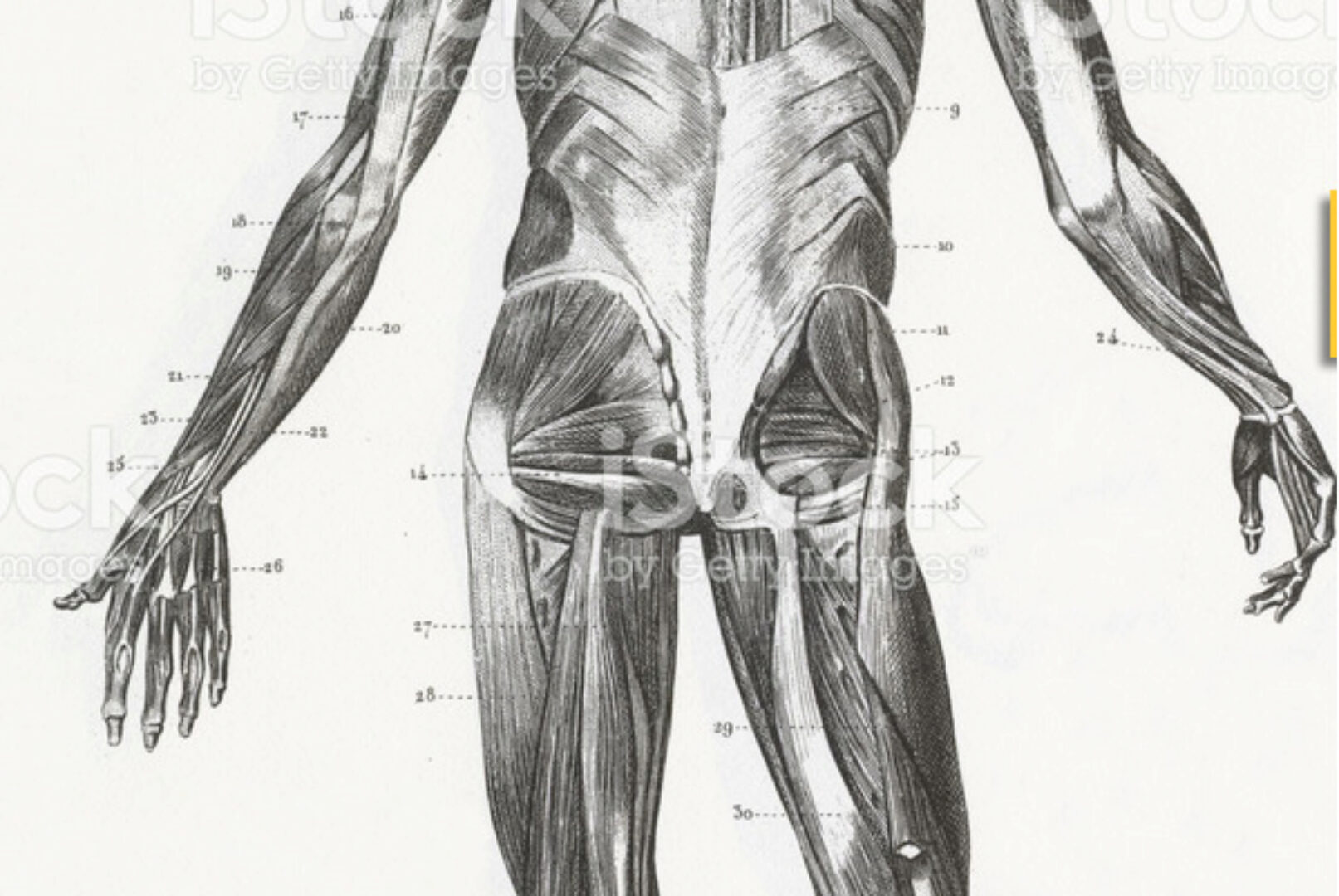 [Crowstore] Блоки упражнений для функциональной тренировки (Анна Воронина)