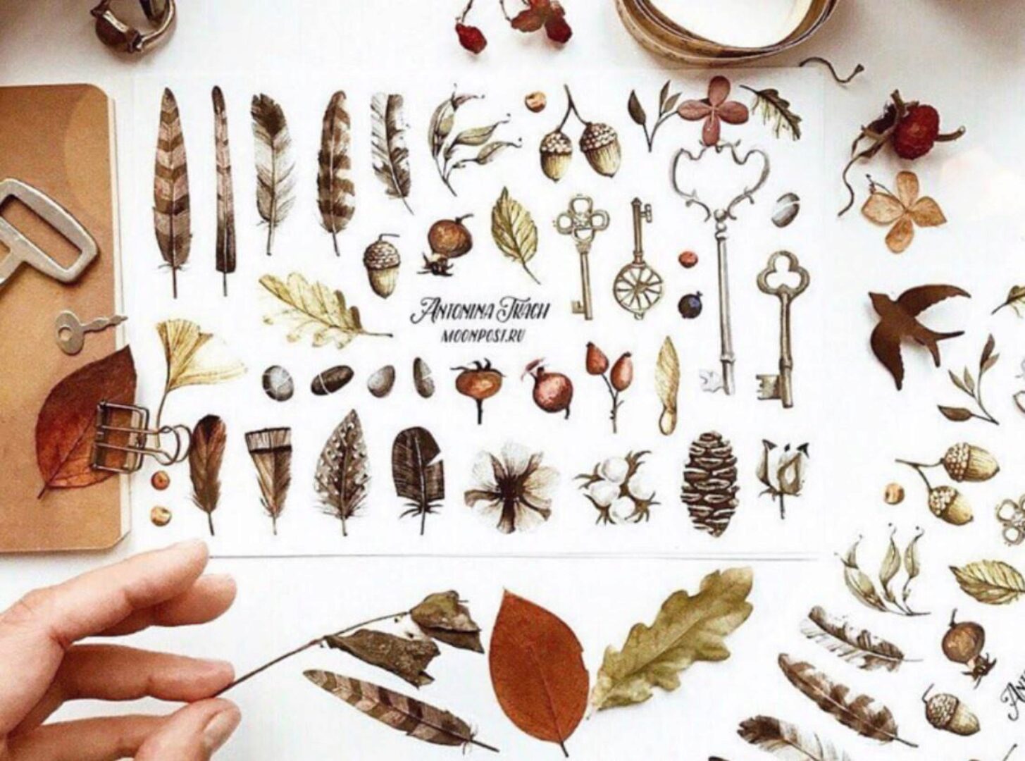 [Lectoroom] Стикеры. Из акварельных иллюстраций в наклейки (Тоня Ткач)