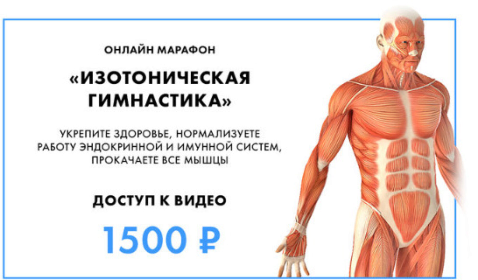 Изотоническая гимнастика (Владимир Бондаренко, Михаил Новиков)