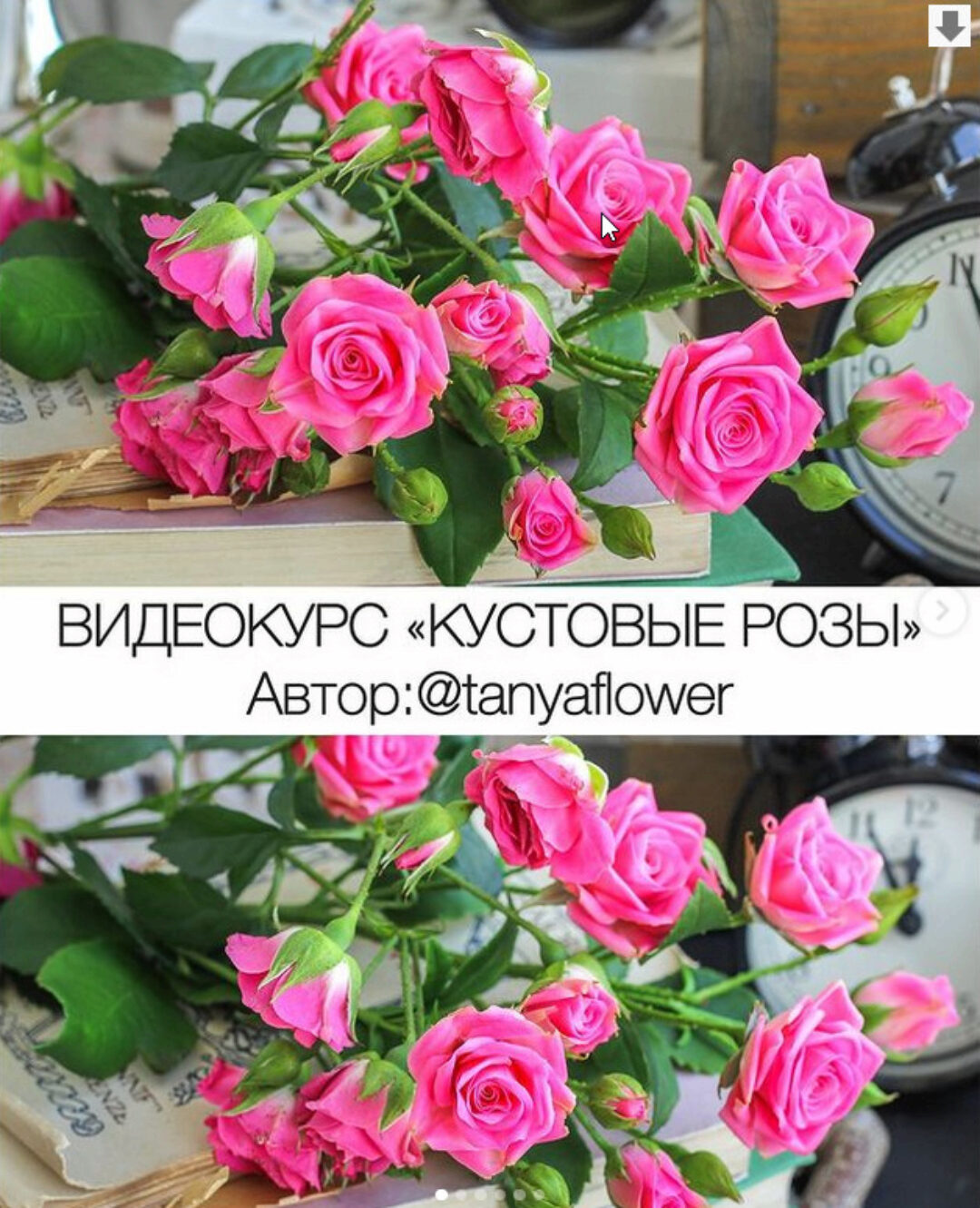 Кустовые розы (tanyaflower)