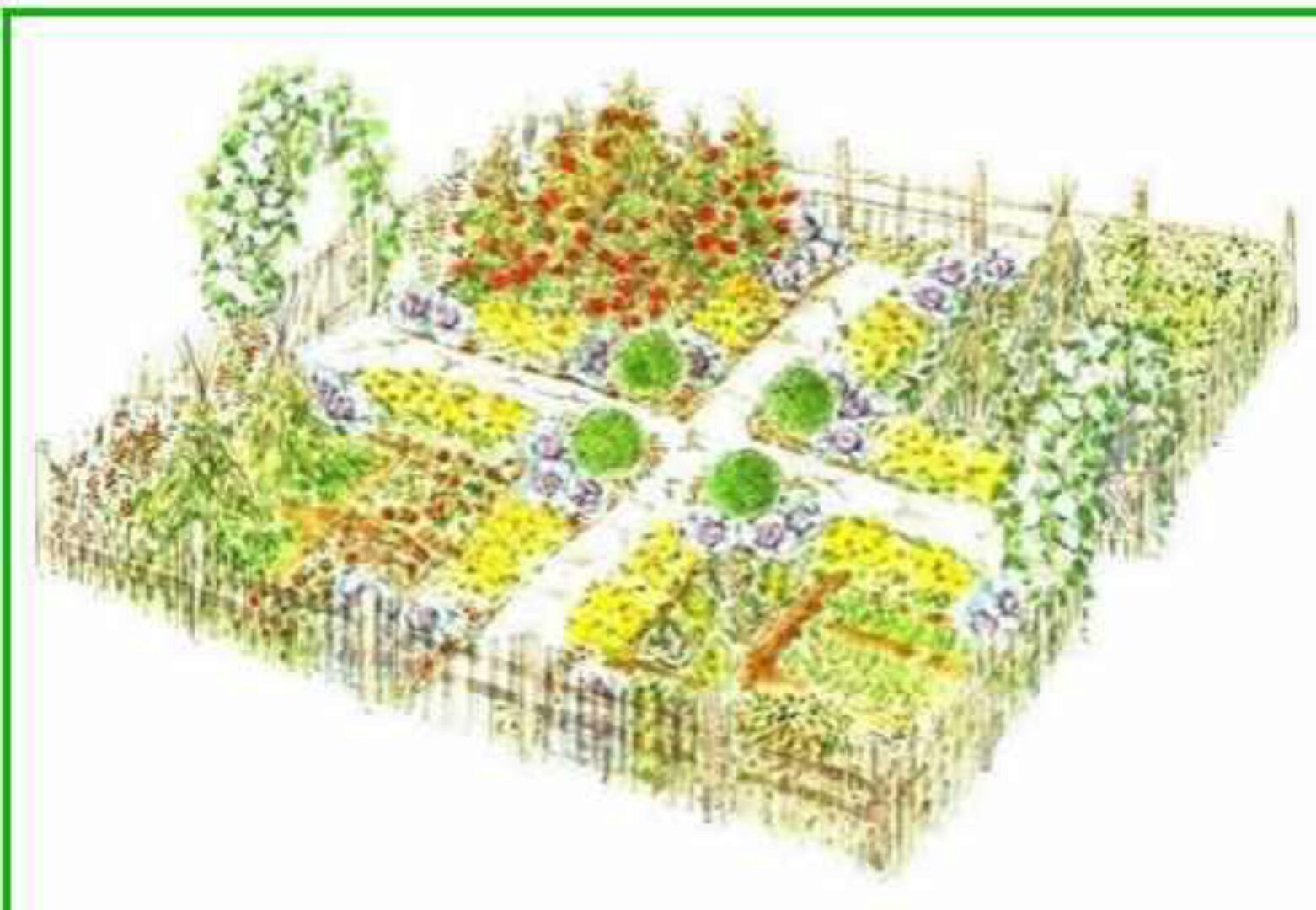 [РФК] Декоративный огород (Александр Сапелин)