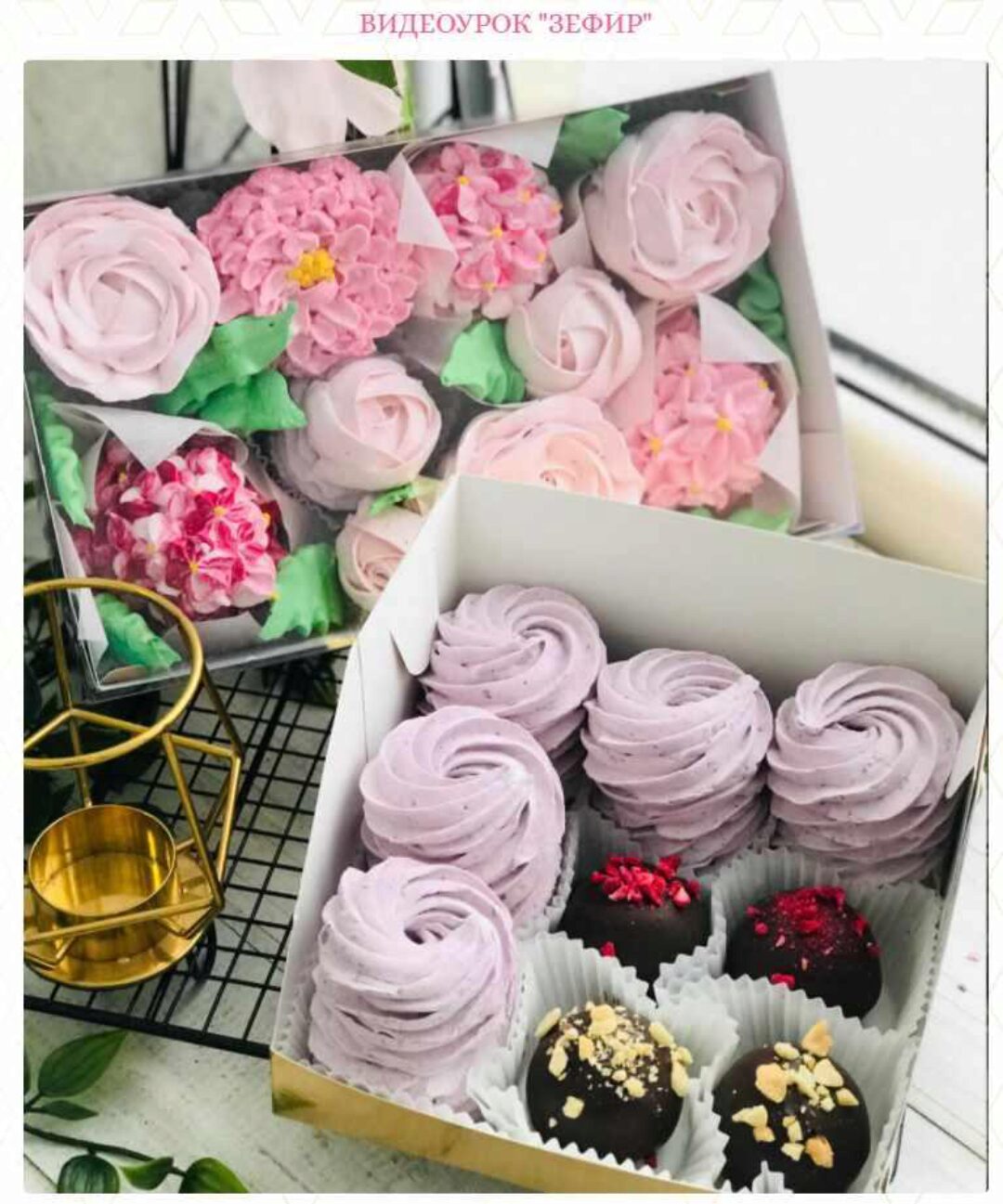 Зефир (Екатерина Савкина)