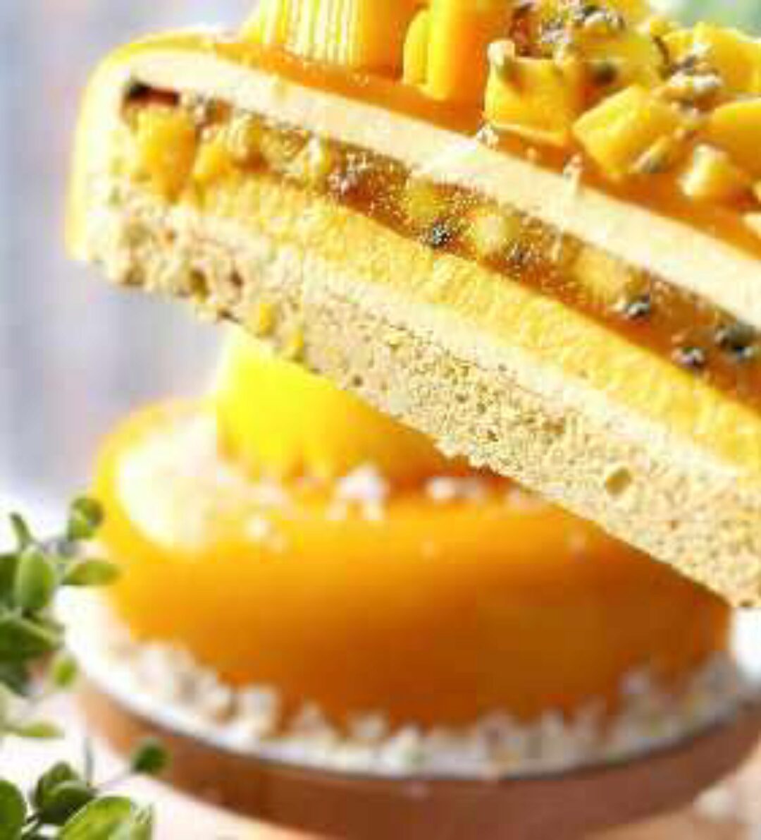 [ex_pastry_cook] Муссовые торты. Тариф Базовый (Александра Шинкаренко)