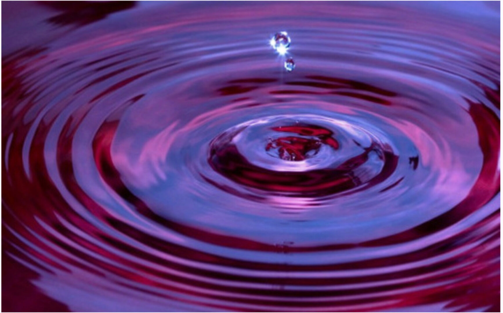 [Волшебный Лотос]  Эликсир магическая темная кровь (Лавиния)