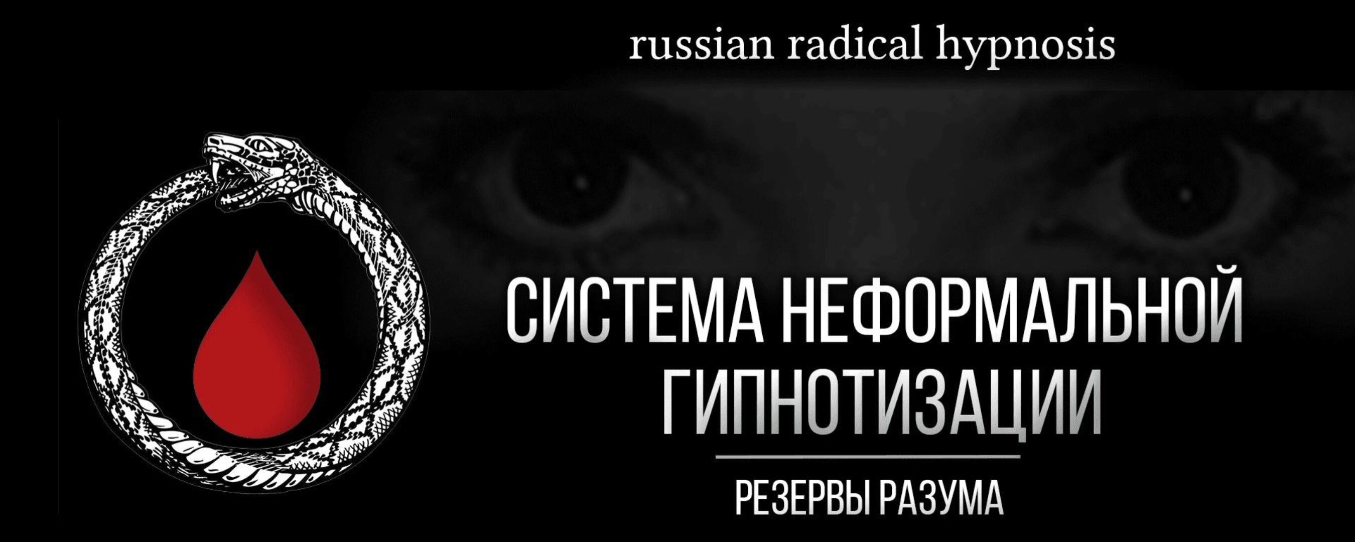 Все виды гипноза. Система неформальной гипнотизации (Диана Орлова, Дмитрий Алексеевич, Марк Орлов)