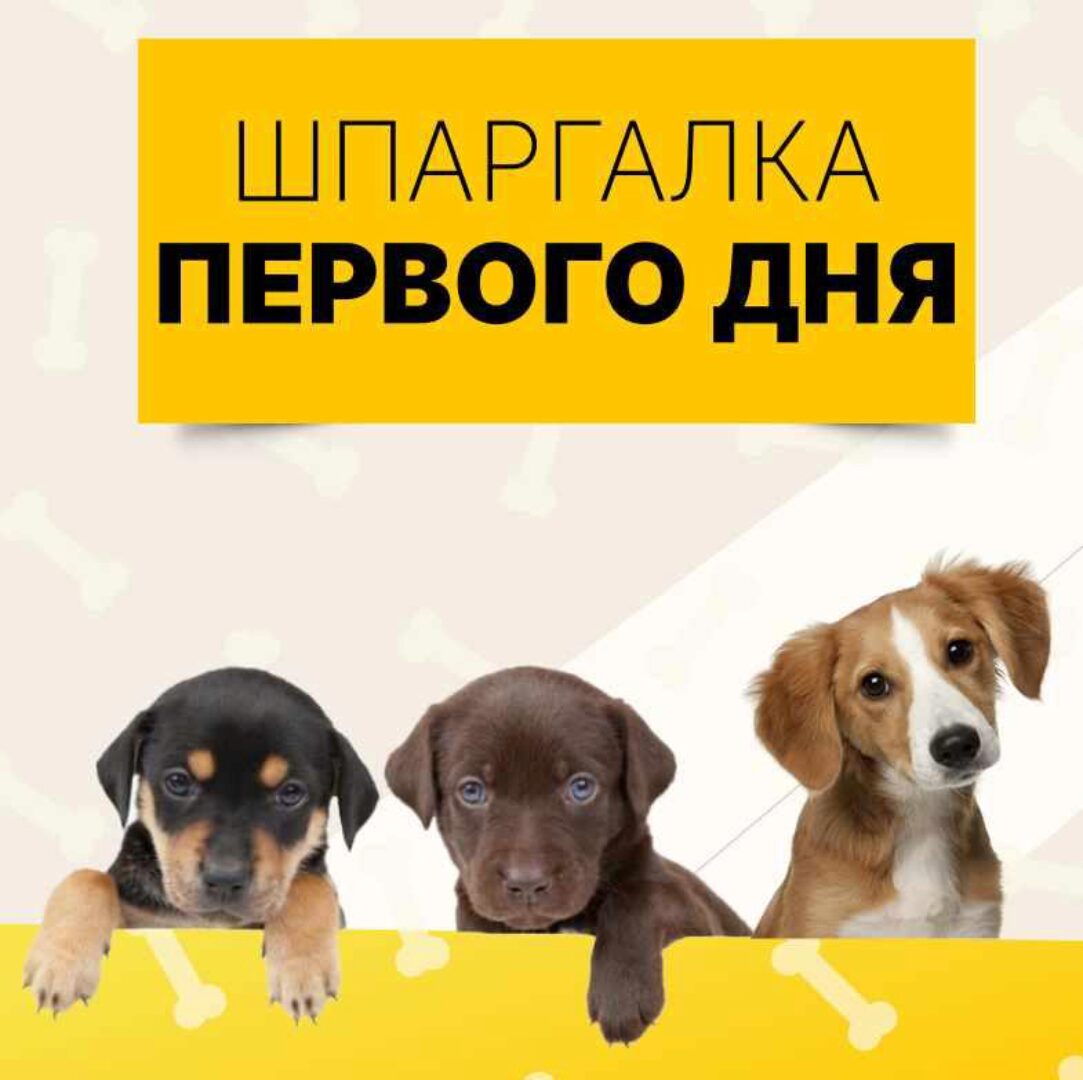 Шпаргалка первого дня (Ольга Сысоева)