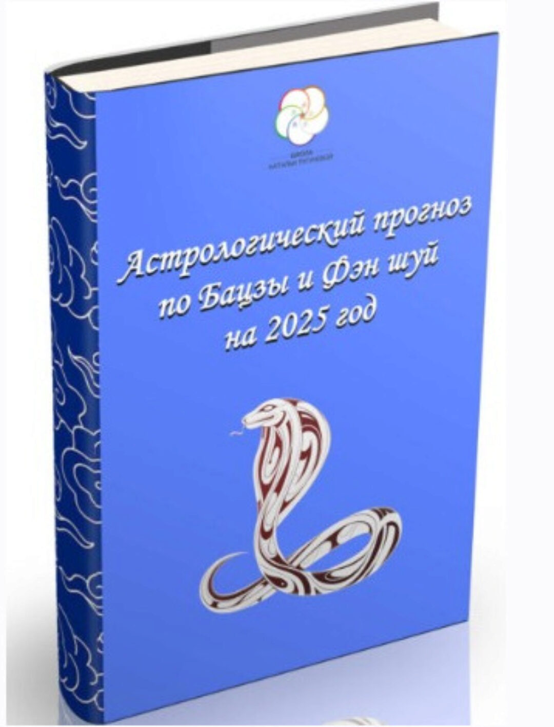 [Школа Китайской Метафизики] Прогноз-руководство на 2025 (Наталья Пугачёва)