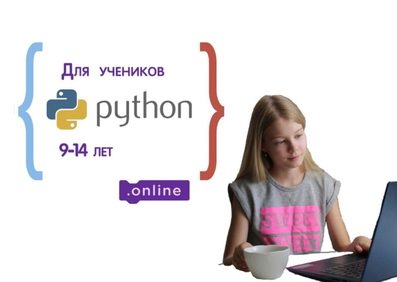 Курс по программированию на Python для детей 9-14 лет. Пакет Ученик Pro (Денис Голиков)