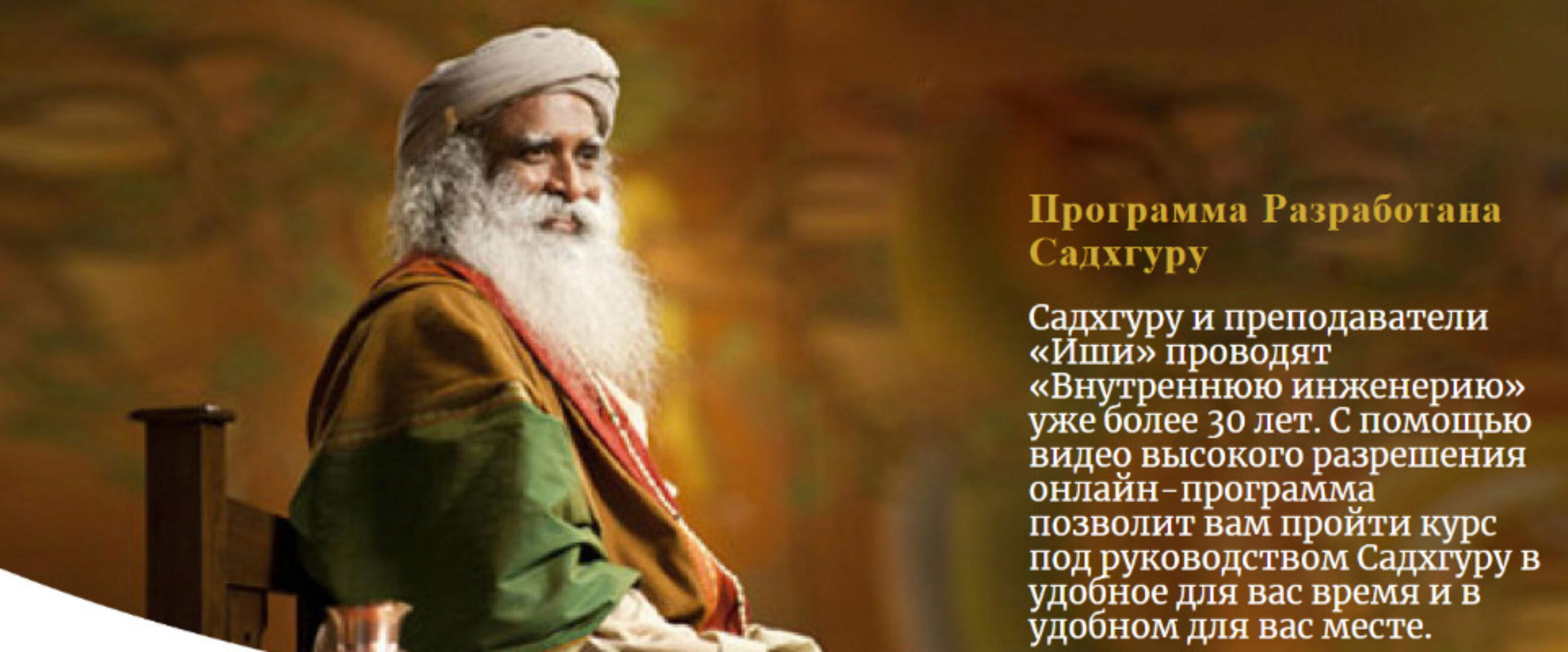 Внутренняя инженерия 2020 (Садхгуру)