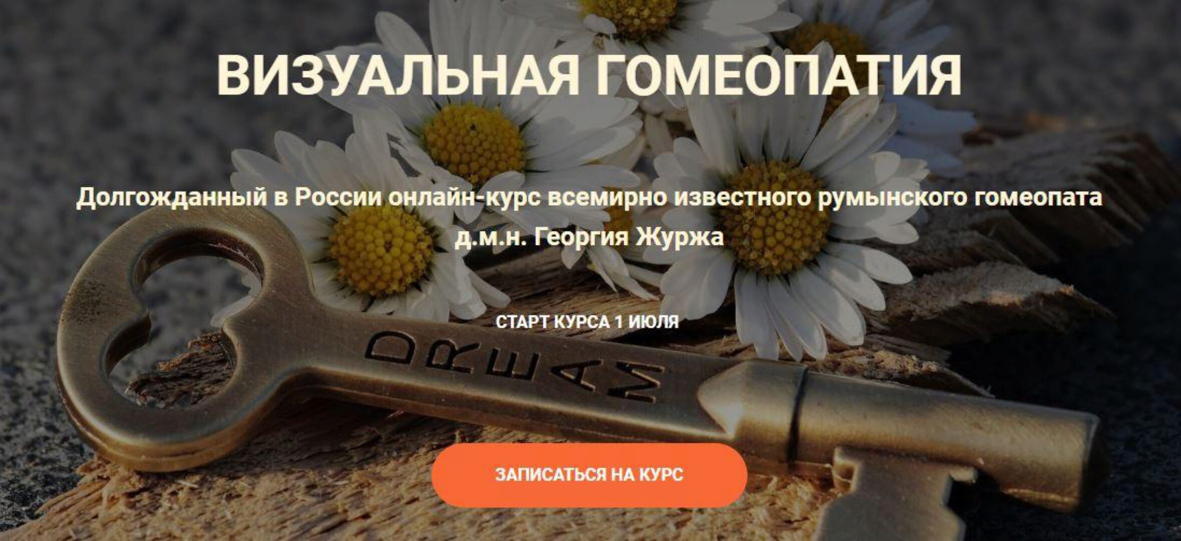 Визуальная гомеопатия. Тариф «2 занятие» (Георгий Журж)