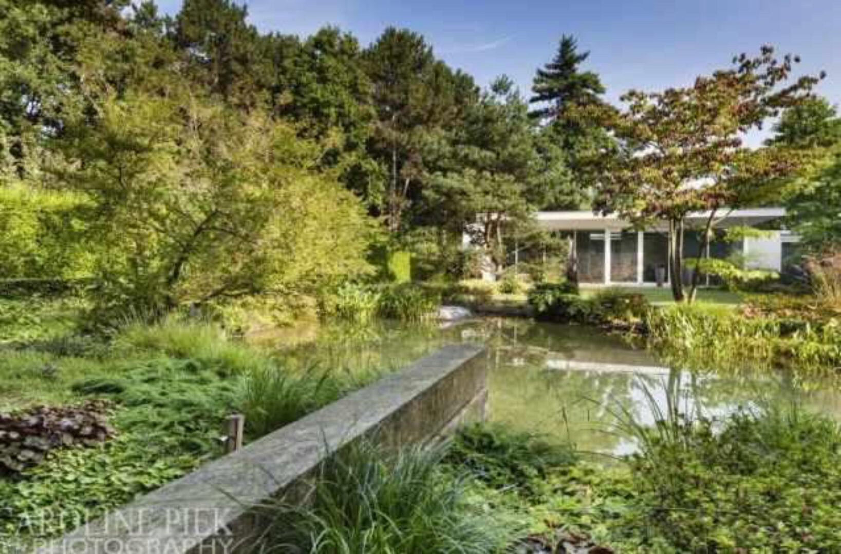 [Зеленая стрела] Как сделать ваш ландшафтный дизайн уникальным (Ноэль ван Миерло)