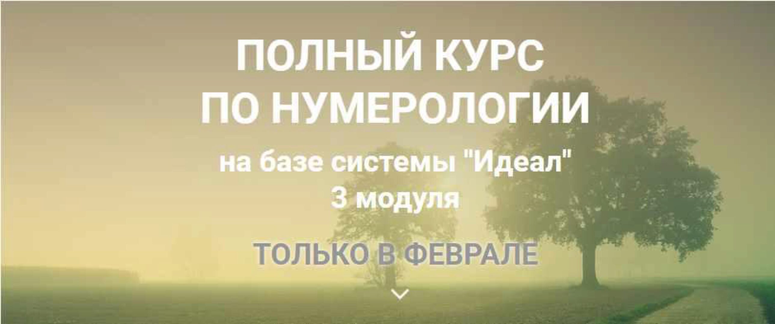 Полный курс по нумерологии. 3 модуля (Светлана Белова)