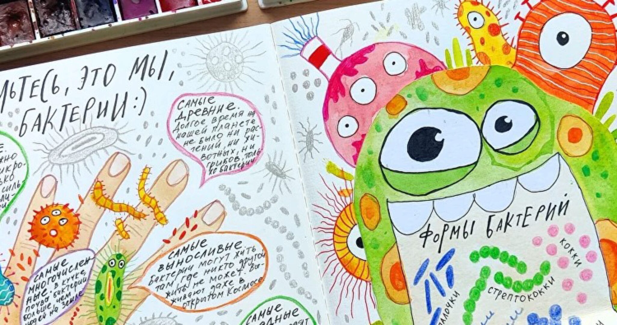 [hurlyburlyschool] 9 блок годового курса Окружающий мир (Оля Сафонова, Даша Сафонова)