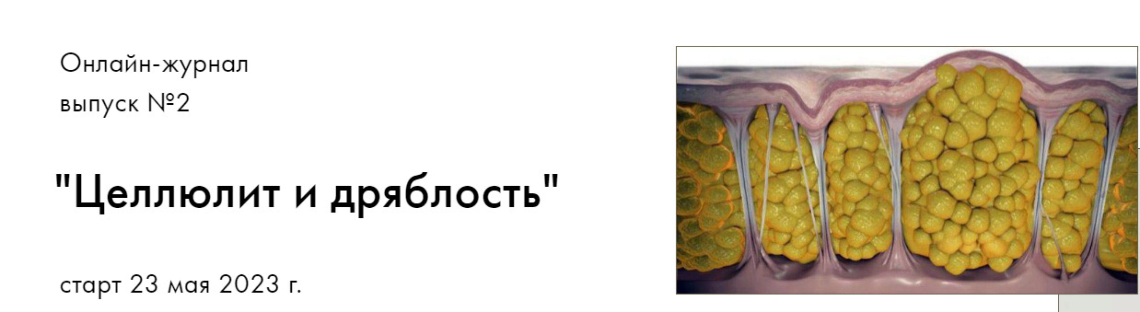 Онлайн-журнал Целлюлит и дряблость. Выпуск №2 (Оксана Килина)
