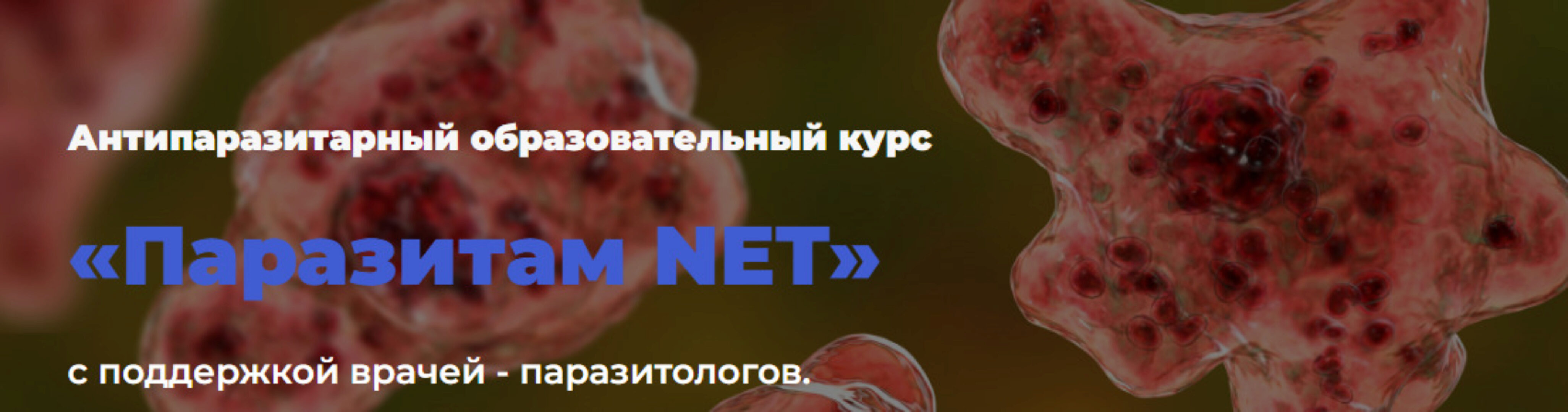 Паразитам NET (Олег Лоскутов, Лали Бацикадзе)