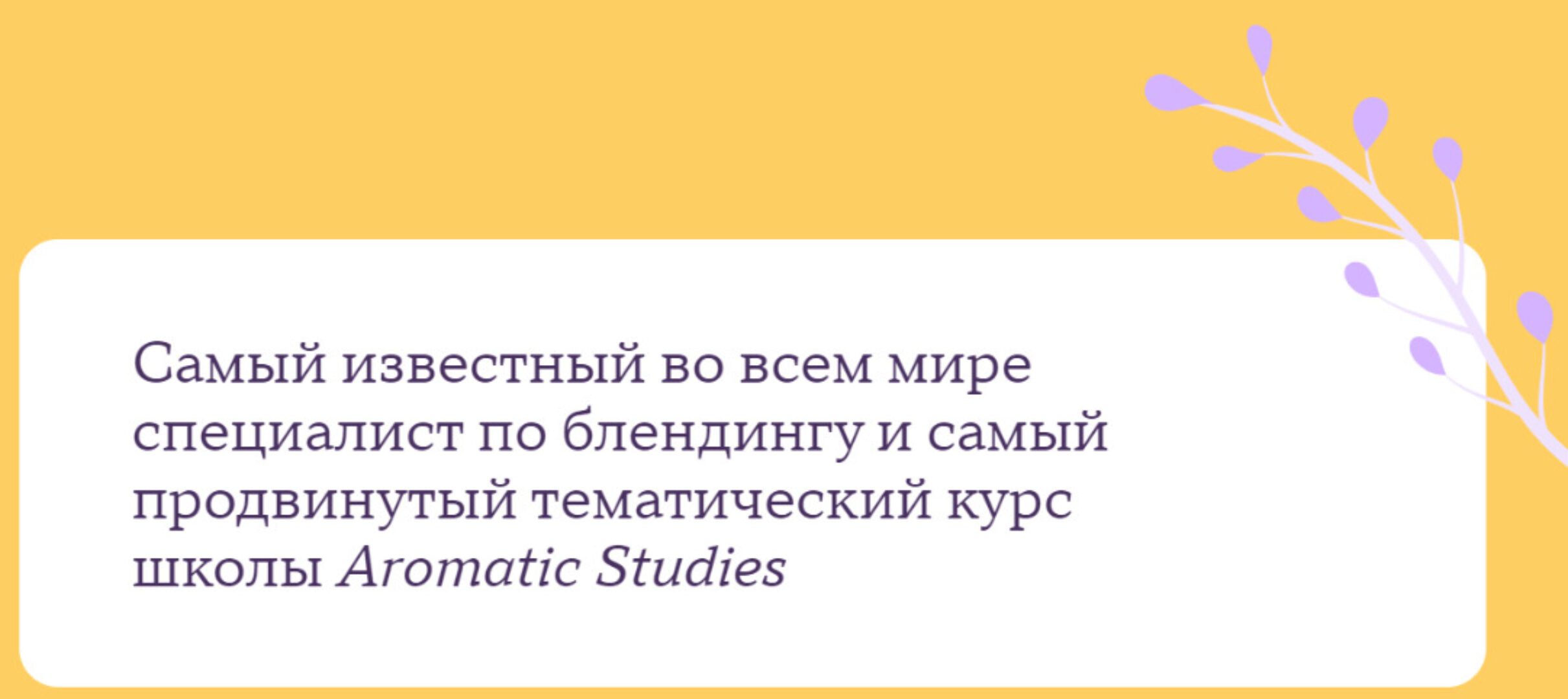 Динамический блендинг (Джейд Шутс)