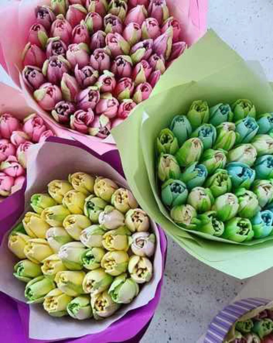 Зефирные тюльпаны (Ляйсян Казыргалина)