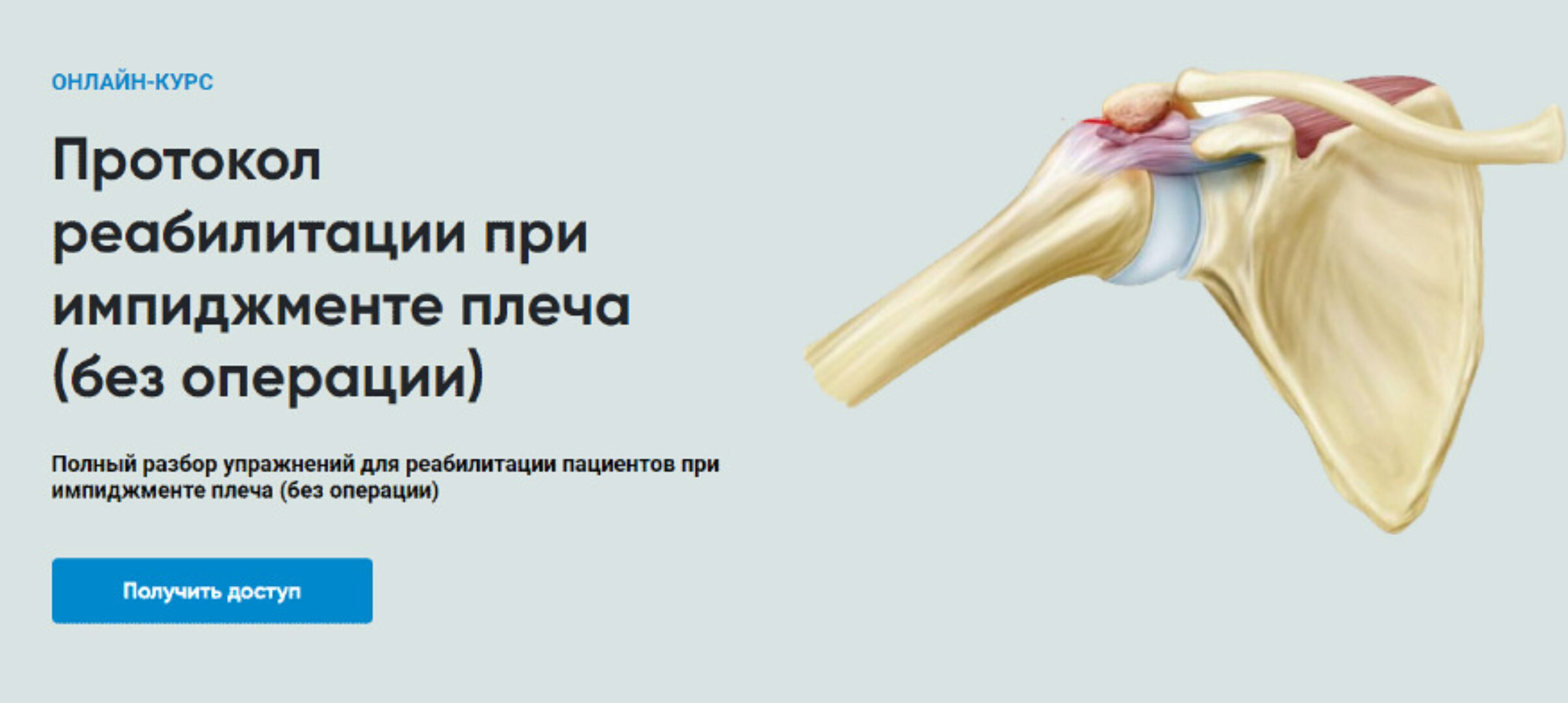 [Rehab Science] Протокол реабилитации при импиджменте плеча (без операции) (Андрей Богатырев)