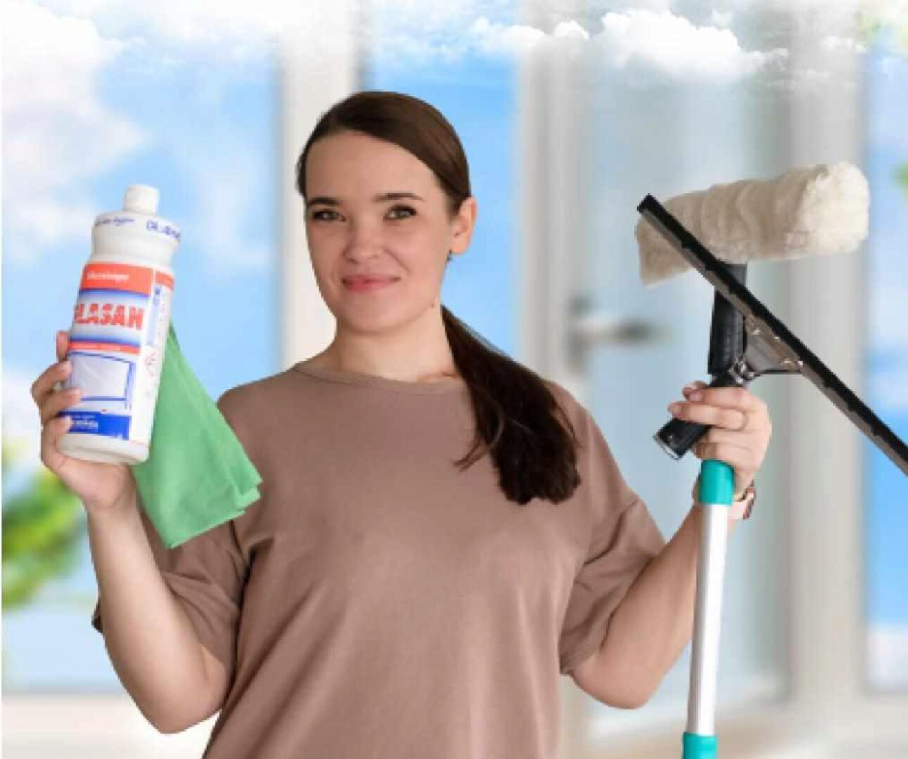 Любые окна - легко. Практикум по мытью окон. Тариф Для себя (Алена Внукова)