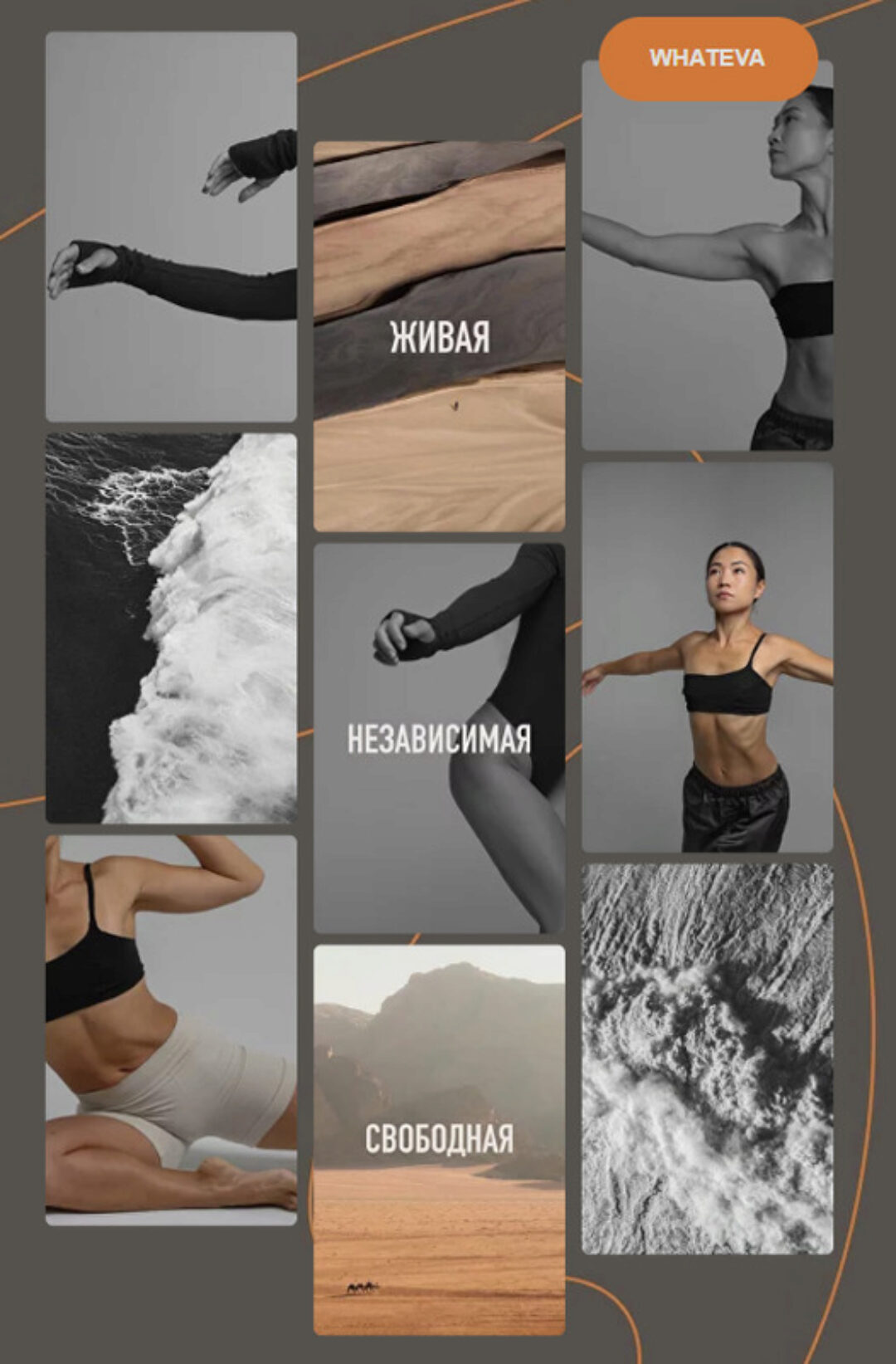 [Zarina Del Mar] Женщина. Тело (Зарина Манаенкова)