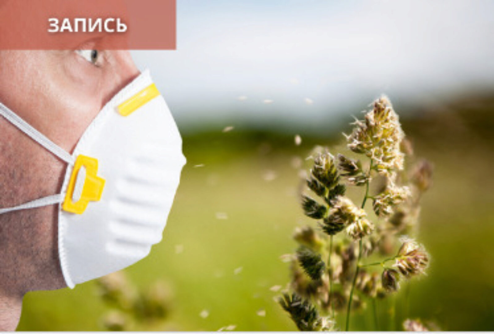 [Синофарм] Сезонные аллергические заболевания (поллиноз, крапивница). Лечение фитопрепаратами Формула Пяти Элементов