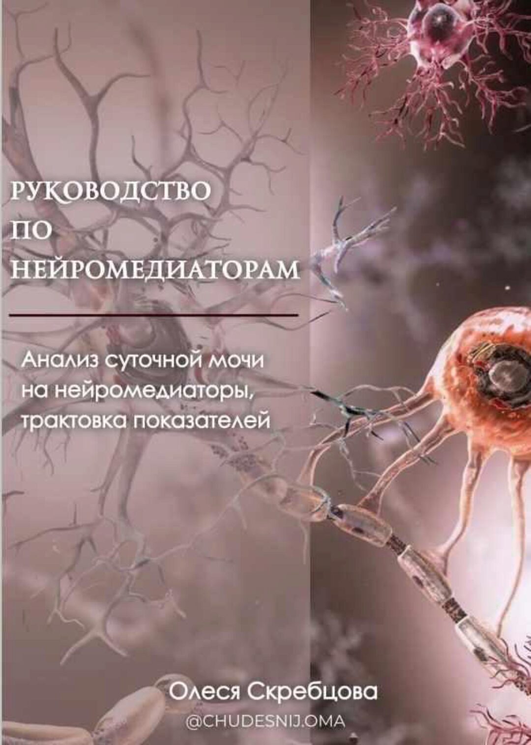 Руководство по нейромедиаторам (Олеся Скребцова)
