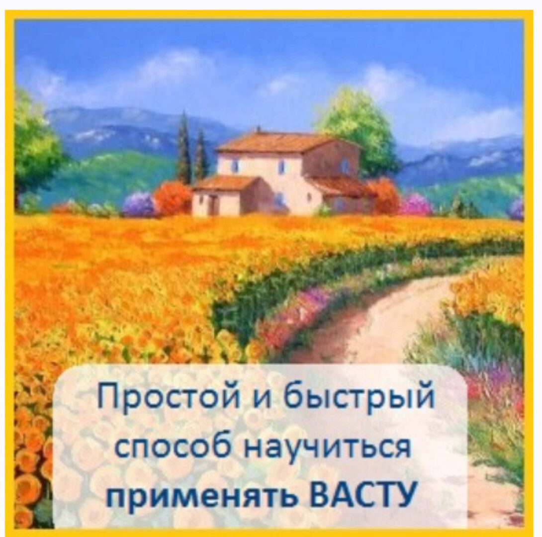 Планировка дома по Васту (Дарья Новикова)