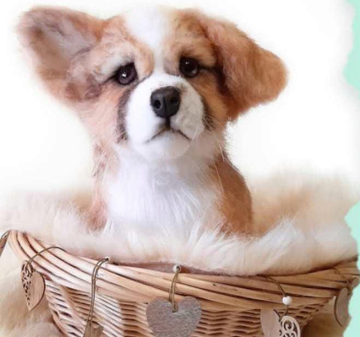 Коржики (натюр) (Янина Орса)