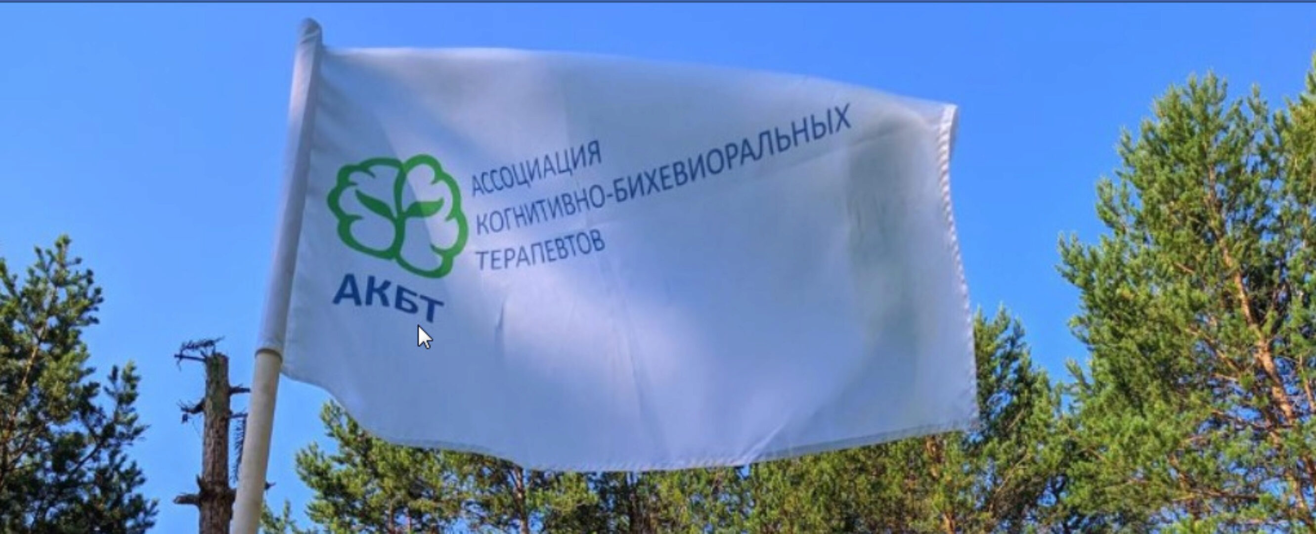 Преодоление терапевтических тупиков с помощью схема-терапии (Джоан Фаррелл)