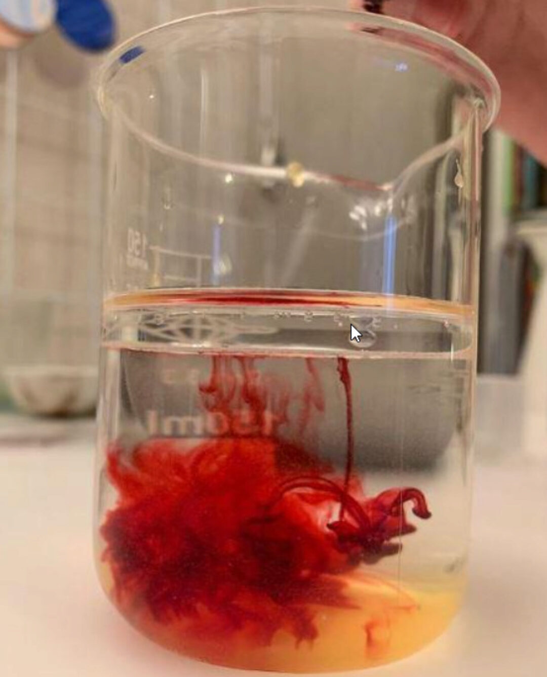 Окружариум 4 (Алина Чабуткина)