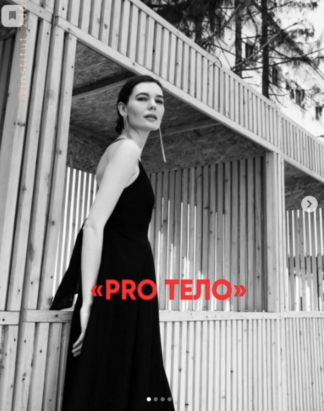 Pro Тело: Питание стройности + Психология телесности (Мария Волкова)