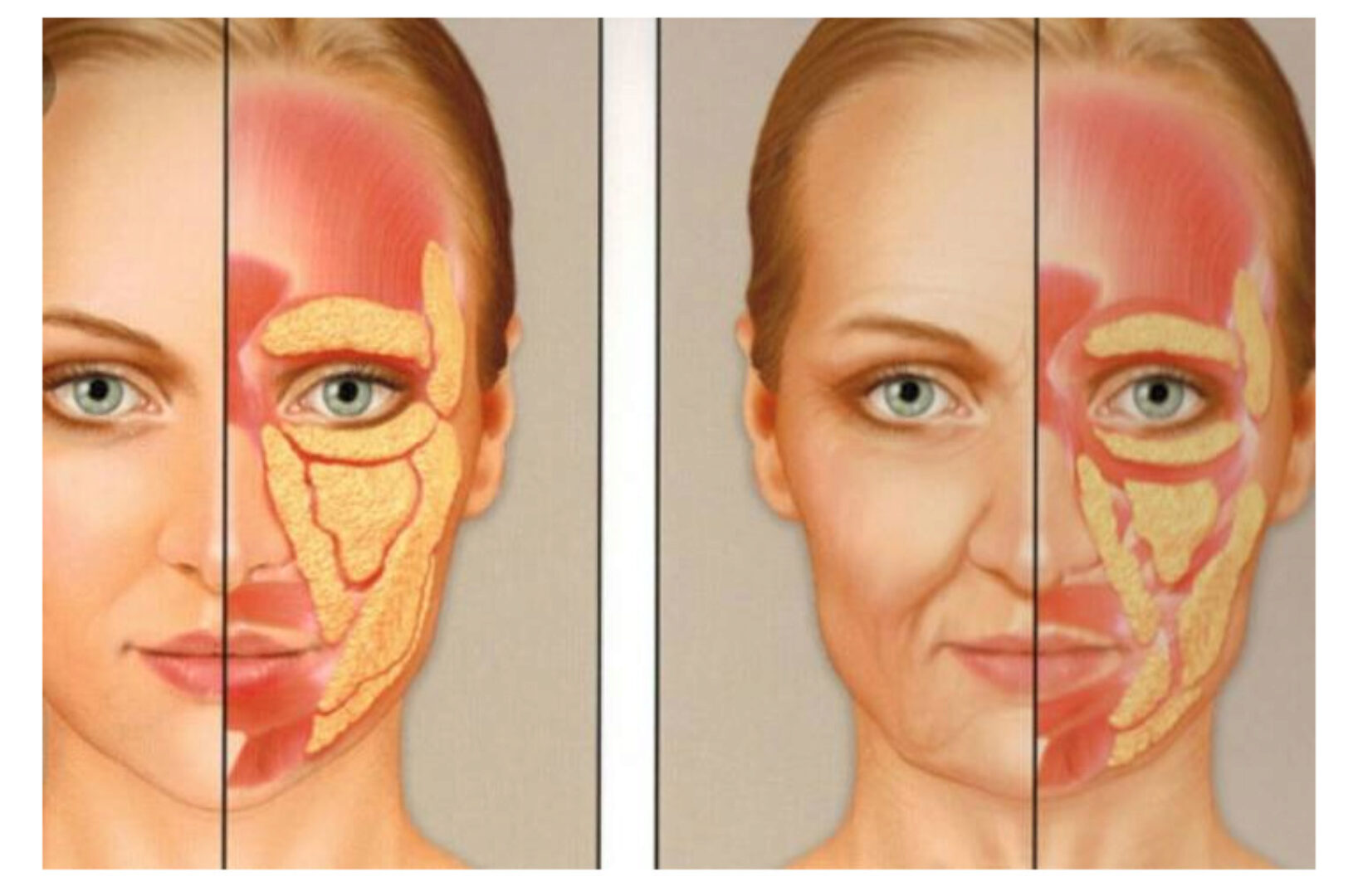 [Ревитоника] Специализированный курс для глаз (Наталия Осьминина)
