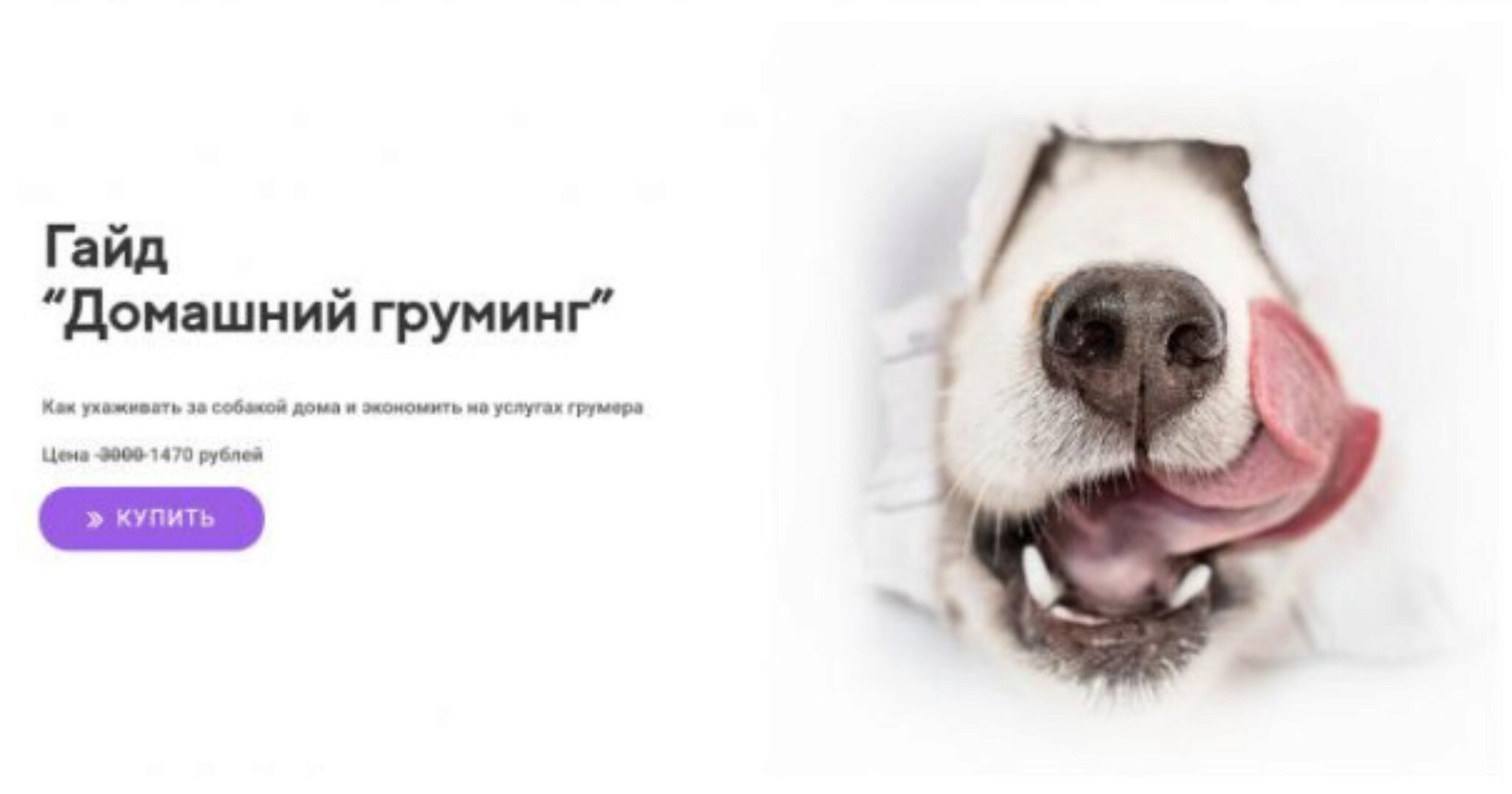 [Kinolog School] Гайд Домашний груминг (Татьяна Полетаева)