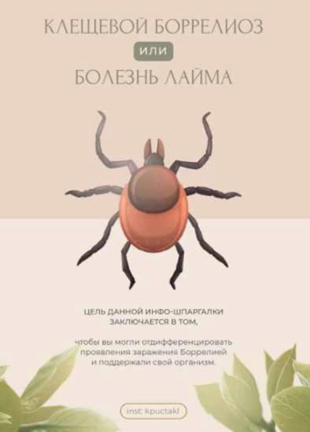 [kpuctakl] Клещевой боррелиоз или болезнь Лайма (Кристина Трофимова)