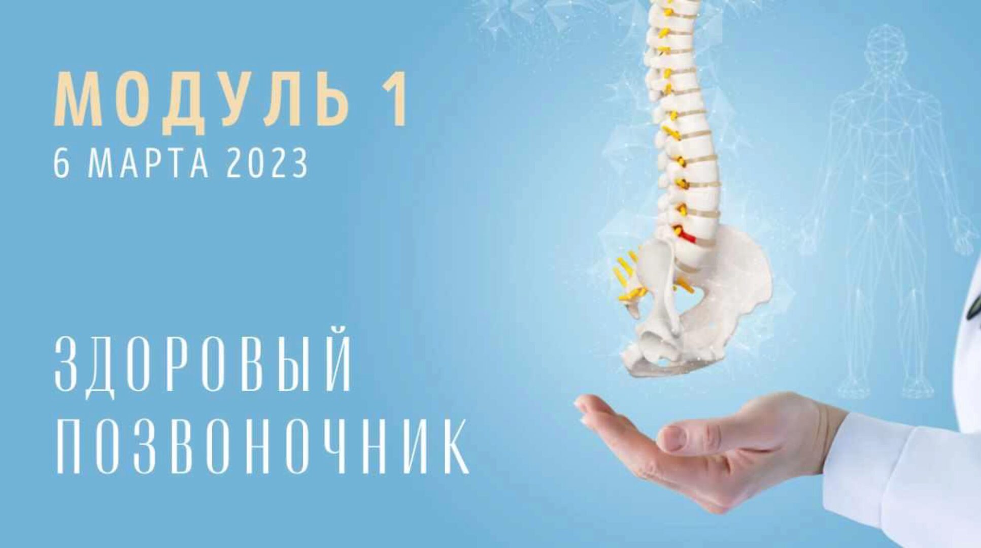 [Yulia.Stretch] Спина: Модуль 1. Здоровый позвоночник (Юлия Грошева)