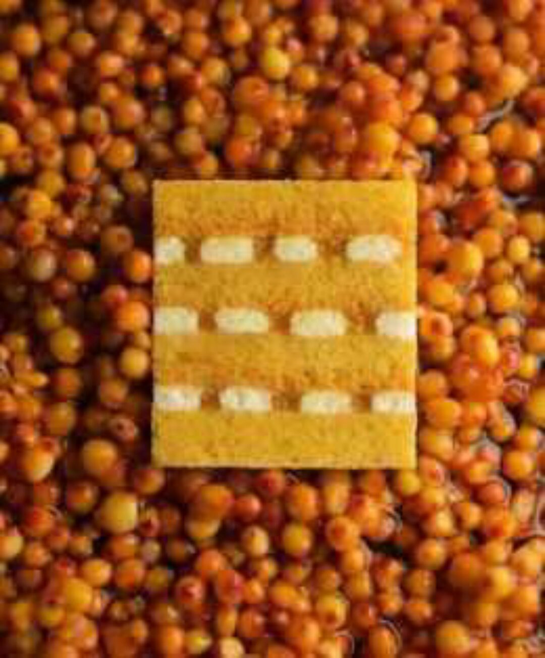 [cakeit_nsk] Торт Total облепиха (Любовь Ки)