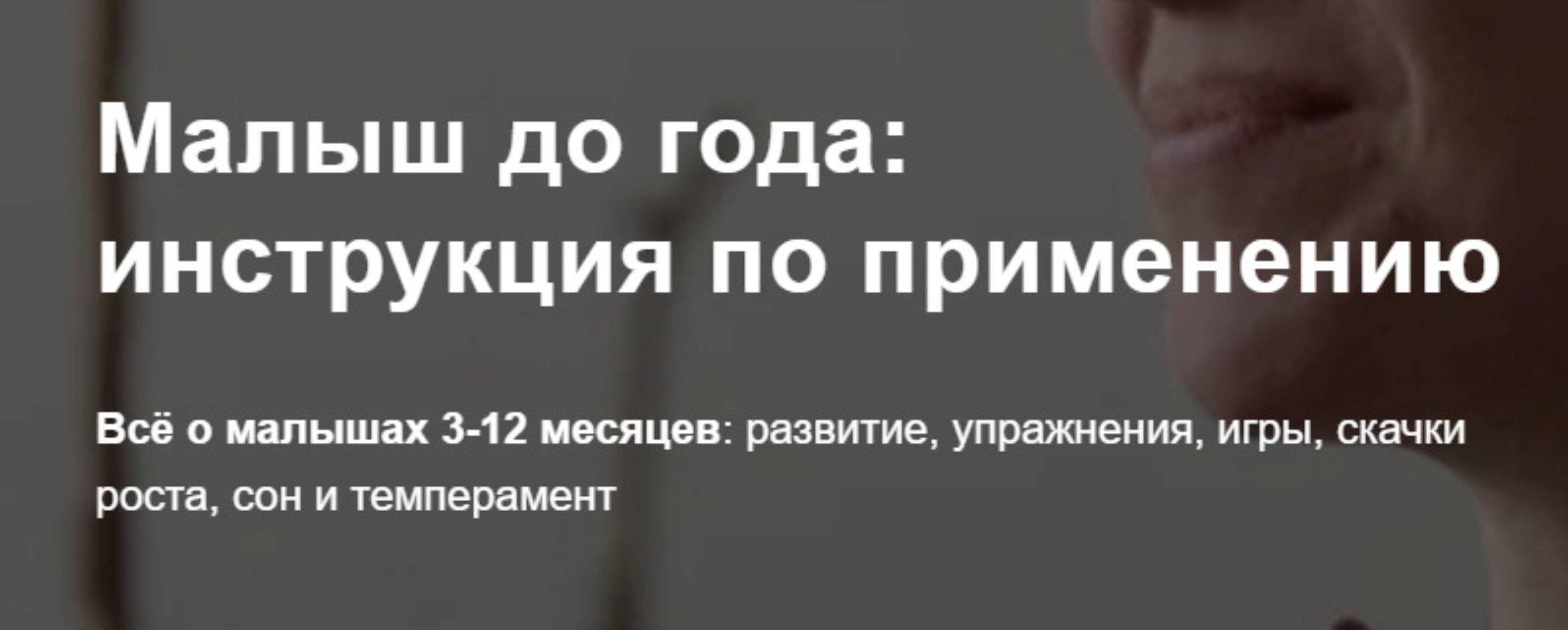Малыш до года: инструкция по применению 3-12 месяцев. Тариф Базовый (Полина Грин)